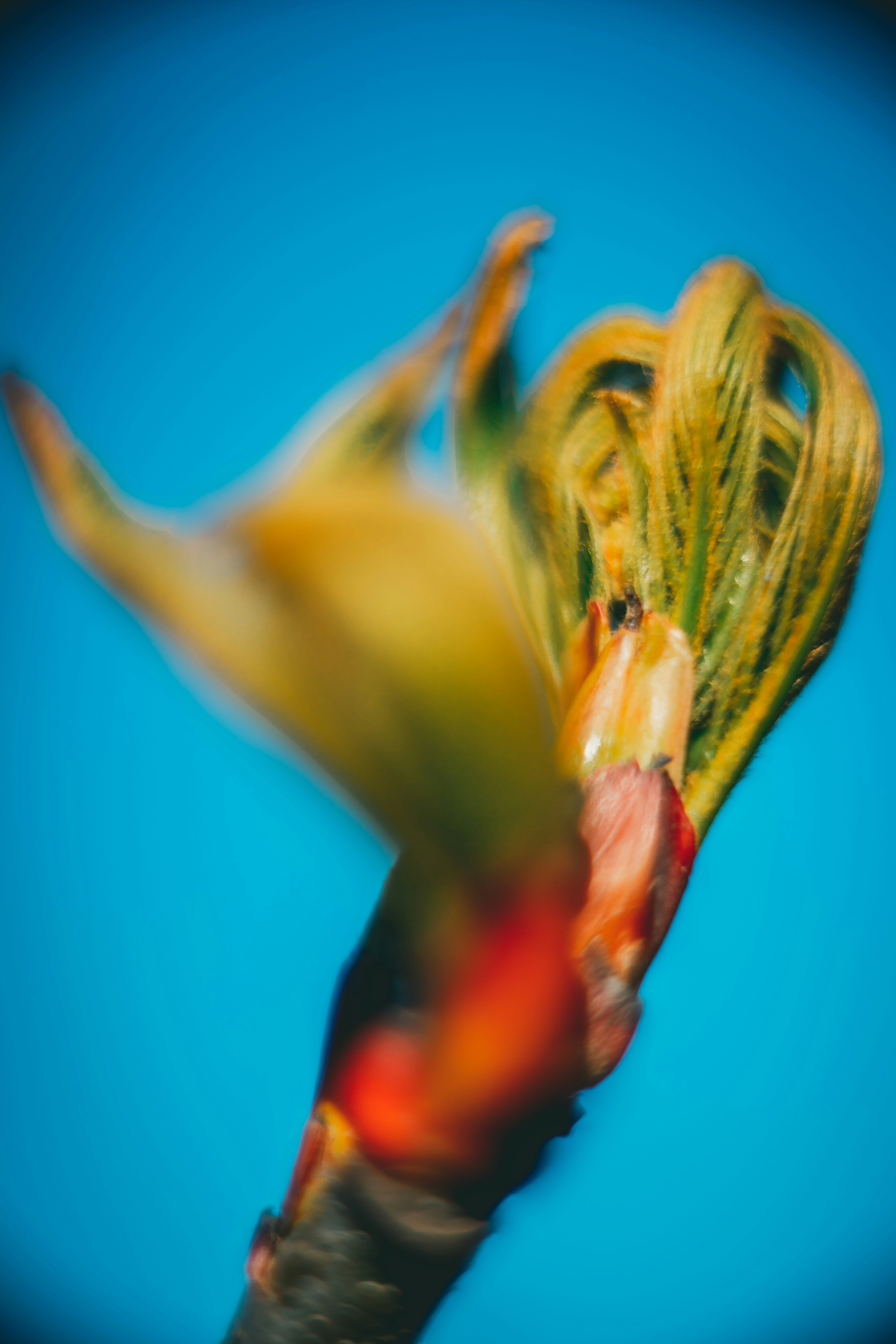 Photo by raimondklavins