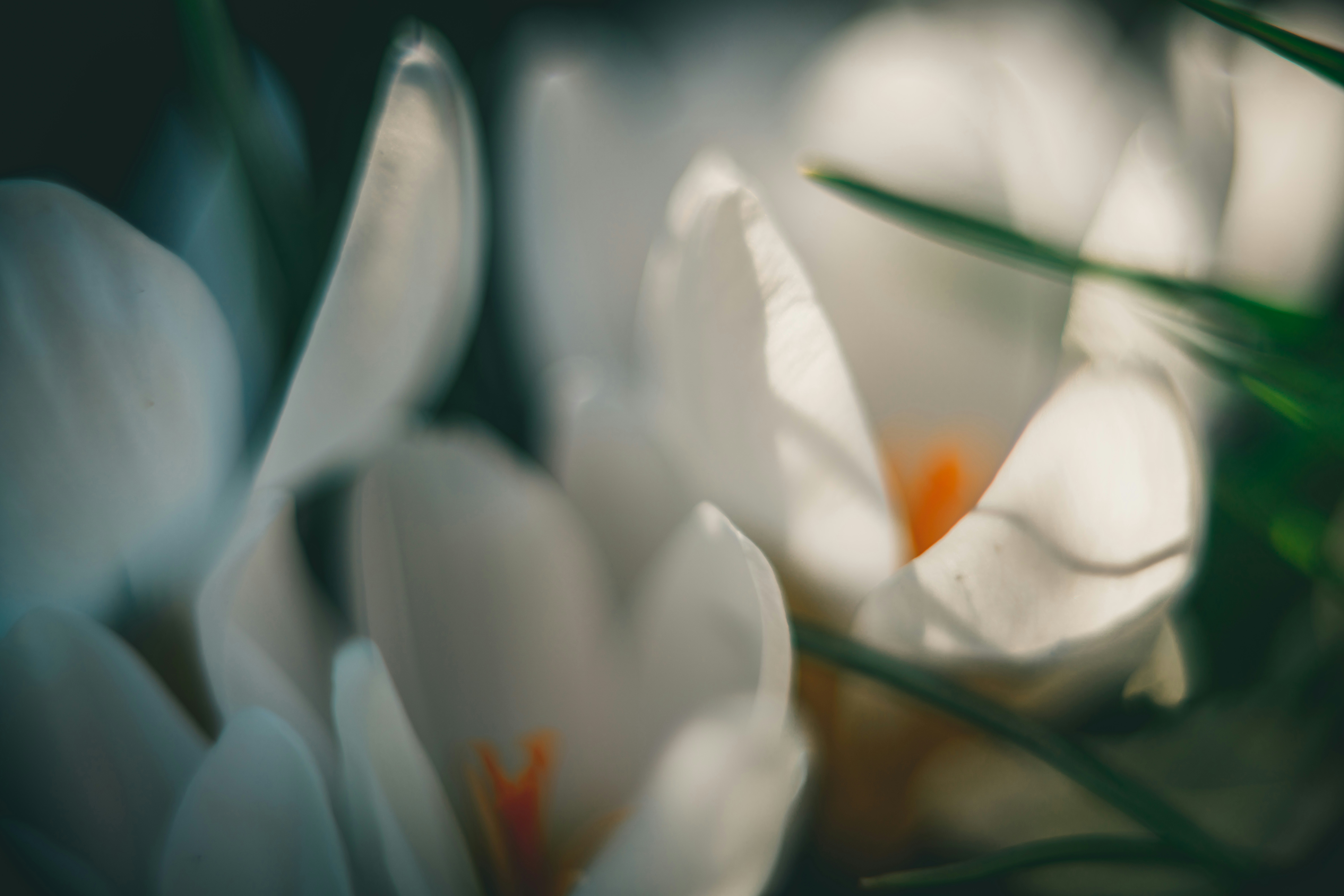 Photo by raimondklavins