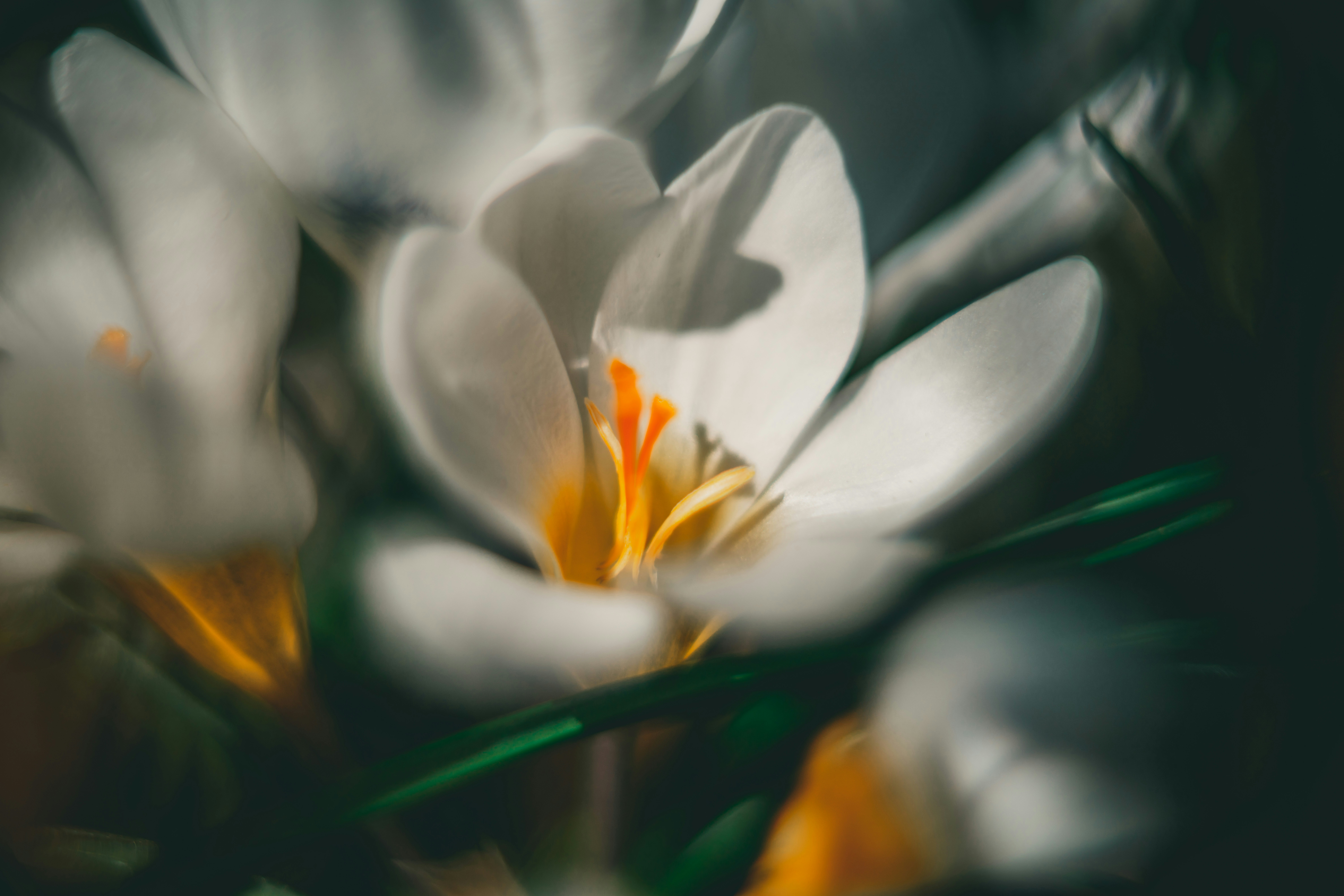 Photo by raimondklavins