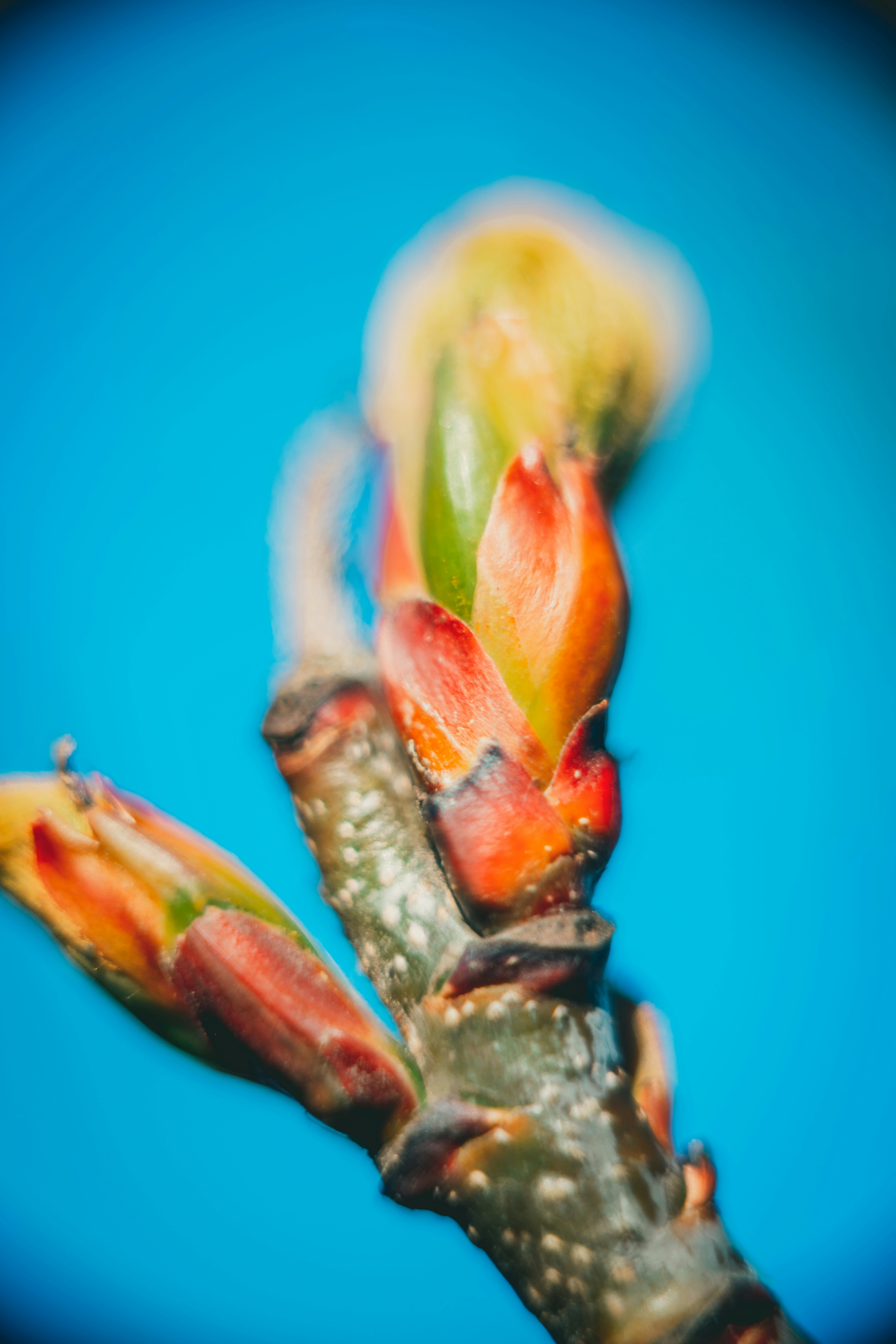 Photo by raimondklavins