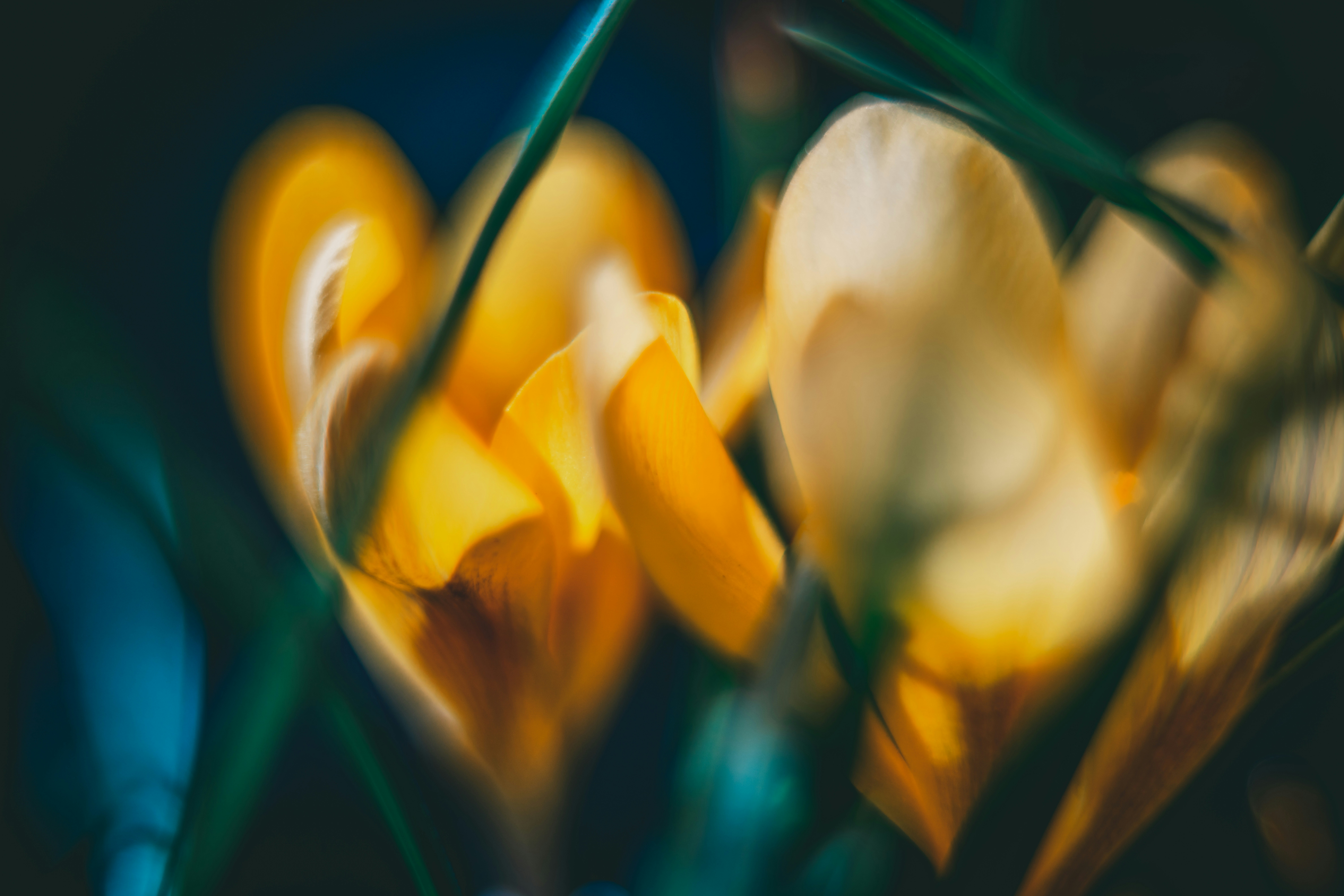 Photo by raimondklavins