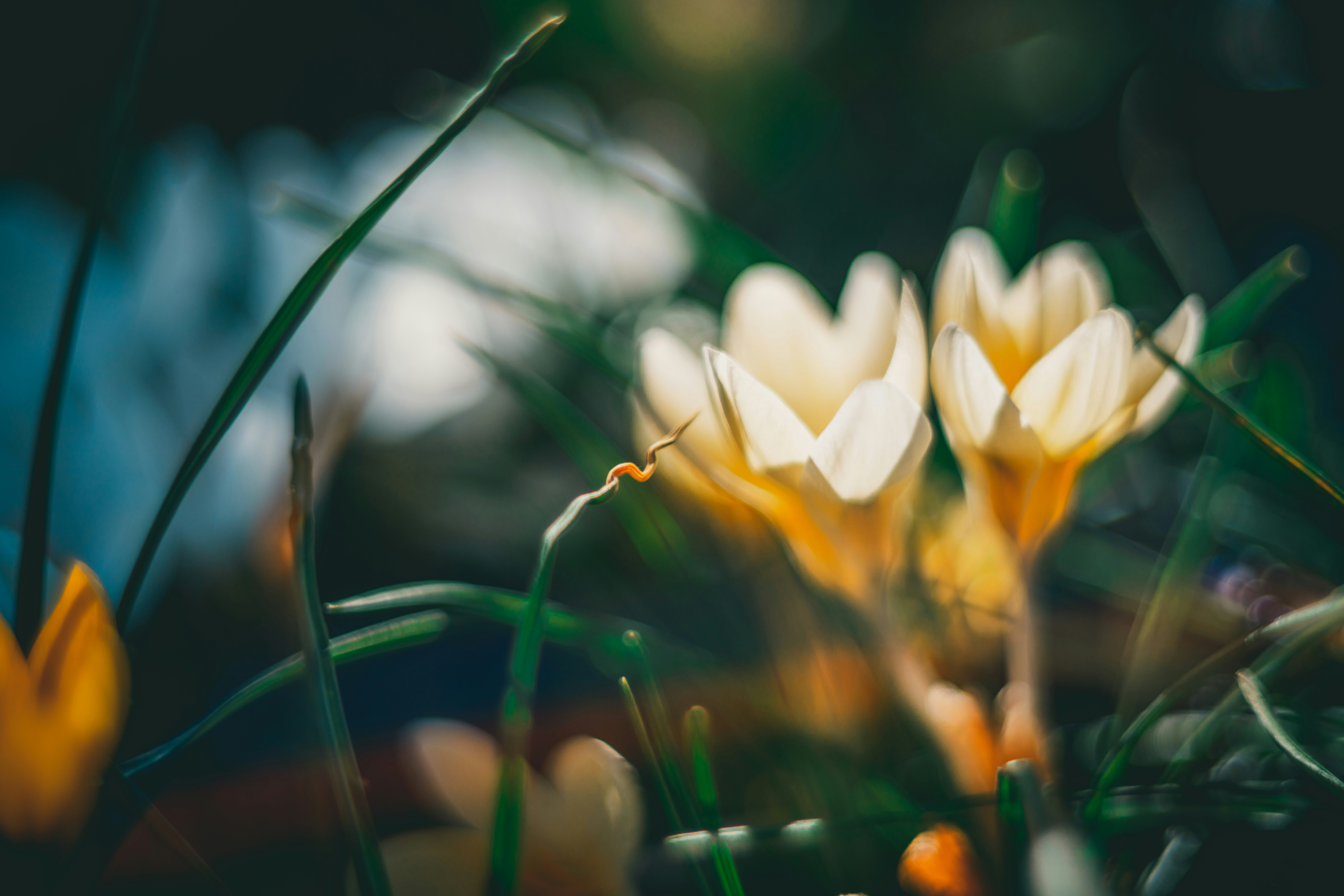 Photo by raimondklavins