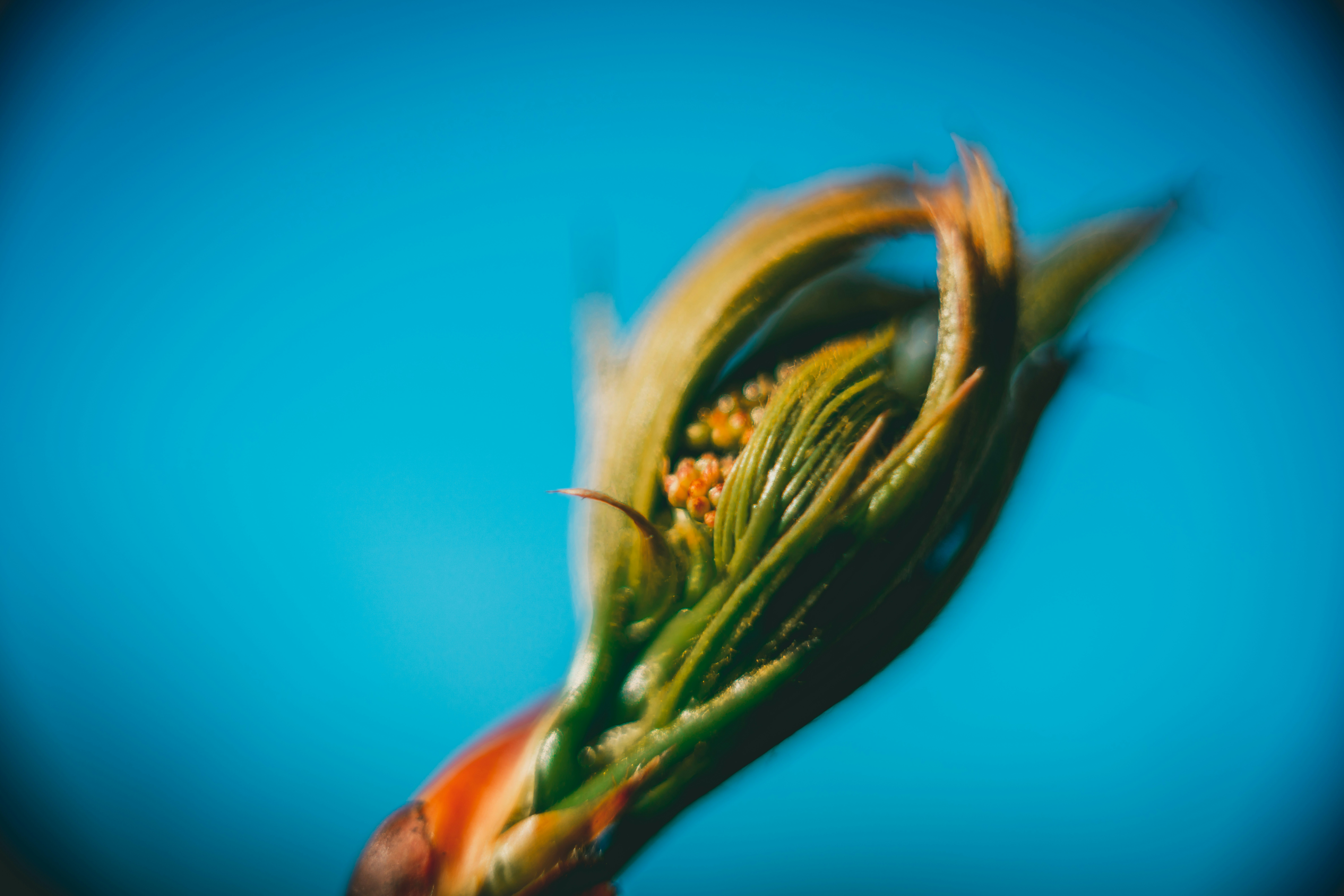 Photo by raimondklavins