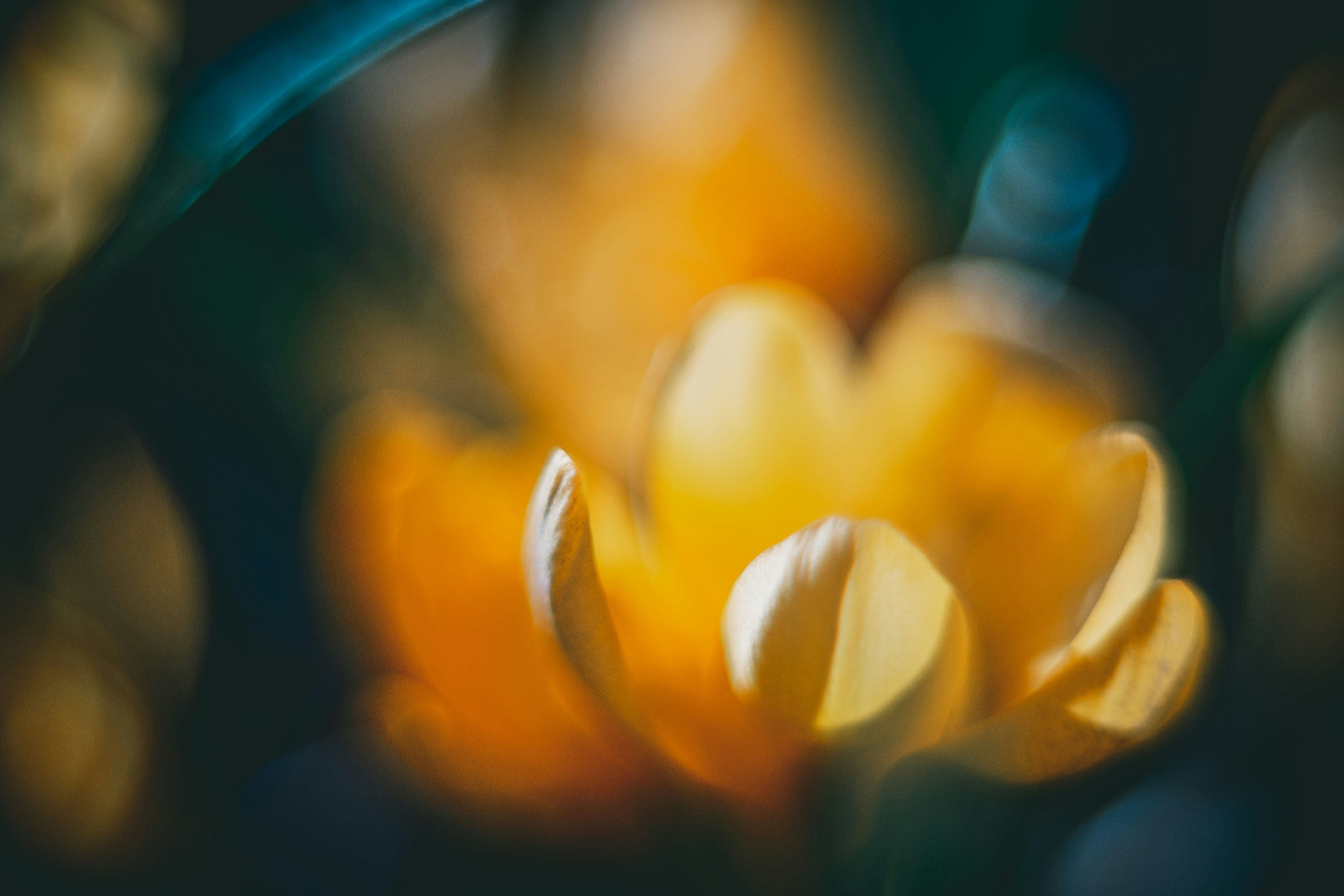 Photo by raimondklavins