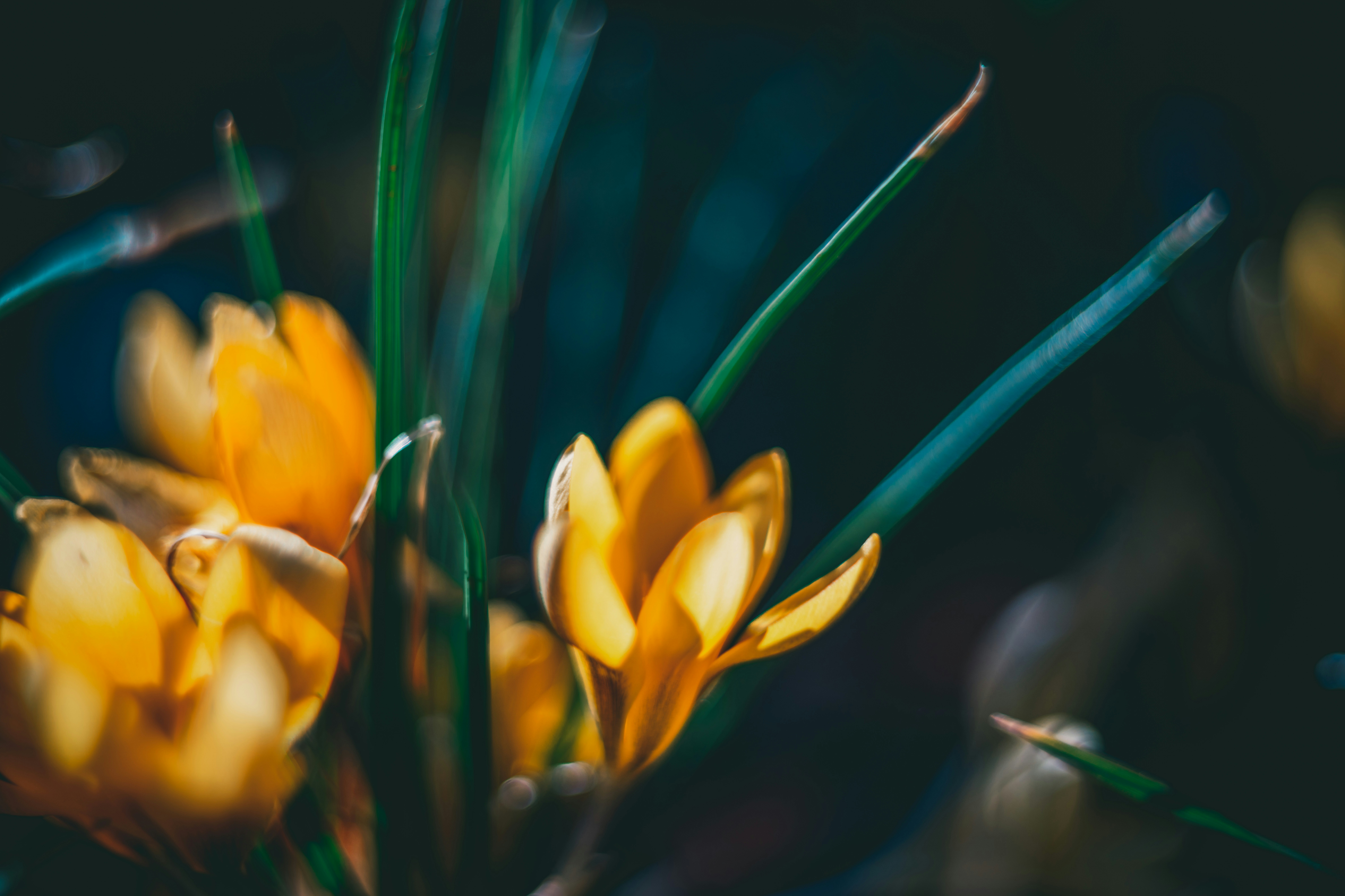 Photo by raimondklavins