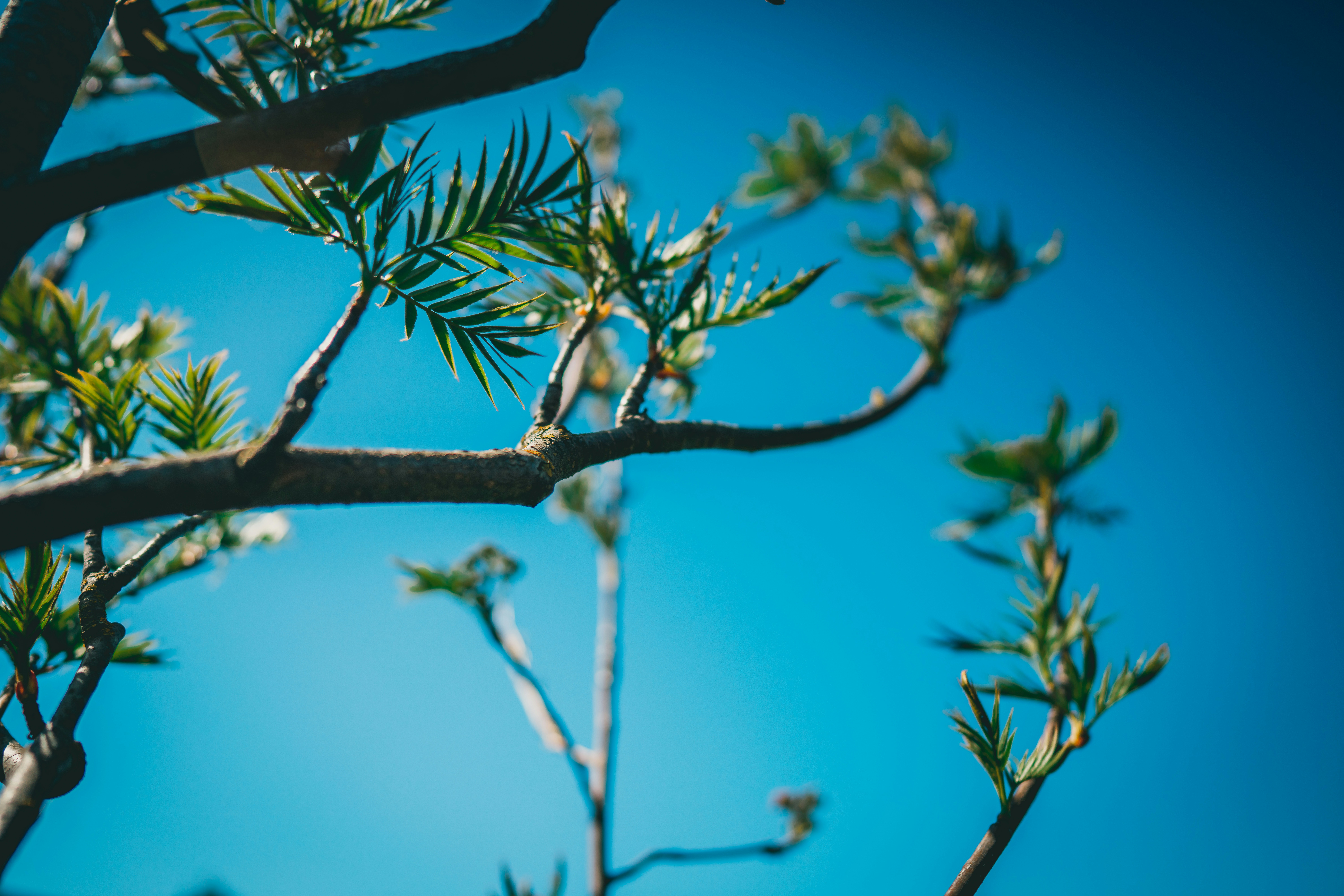 Photo by raimondklavins