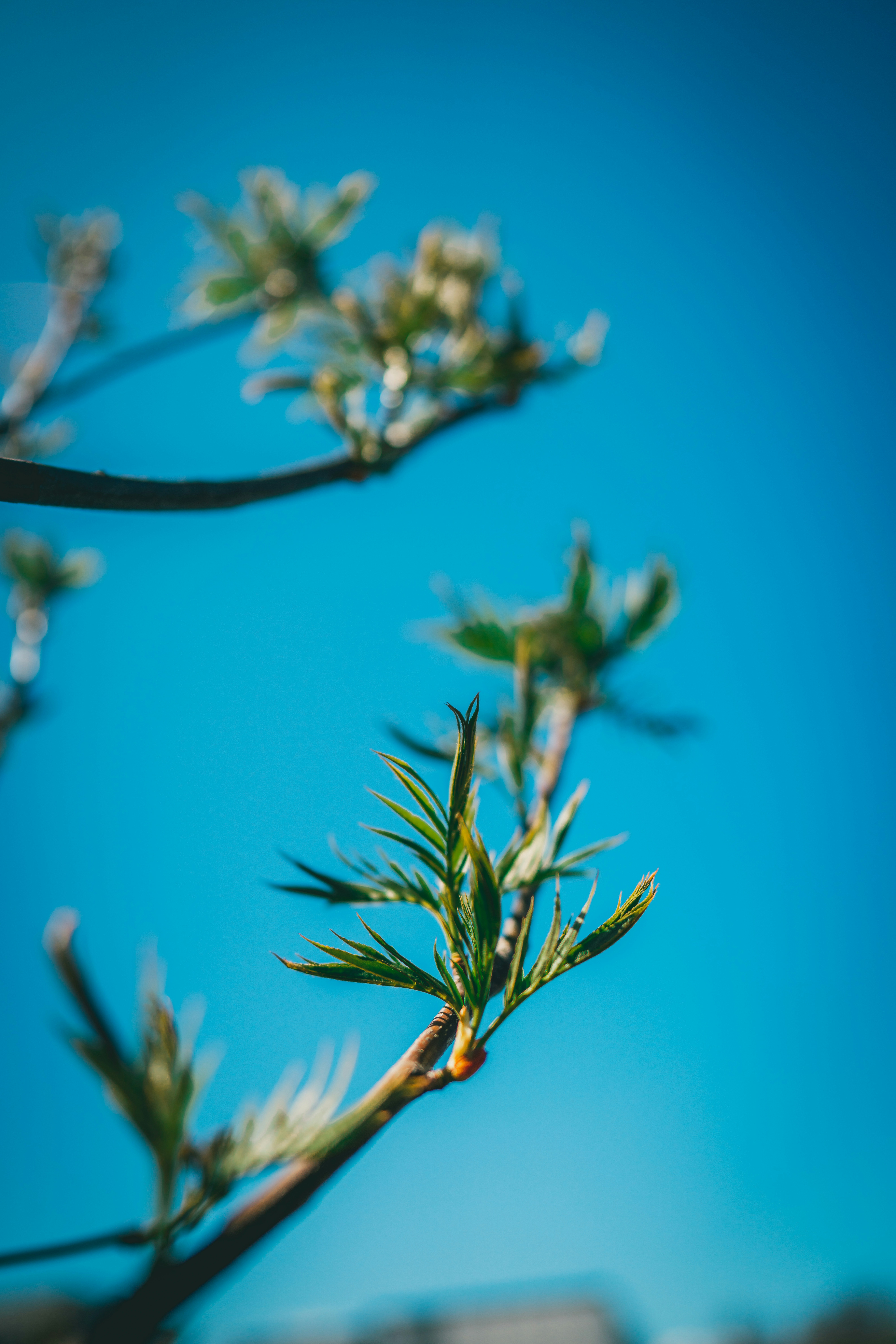Photo by raimondklavins