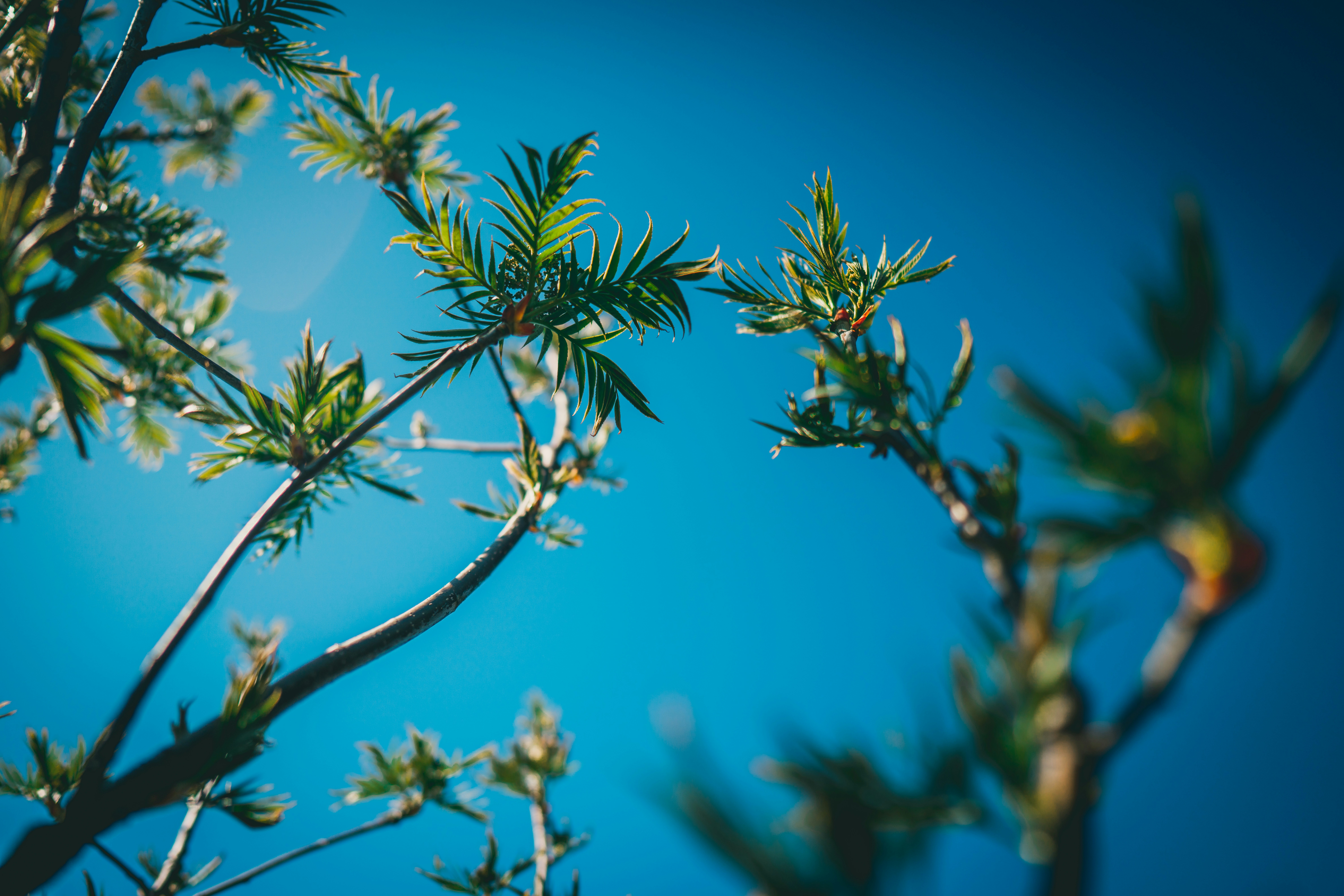 Photo by raimondklavins