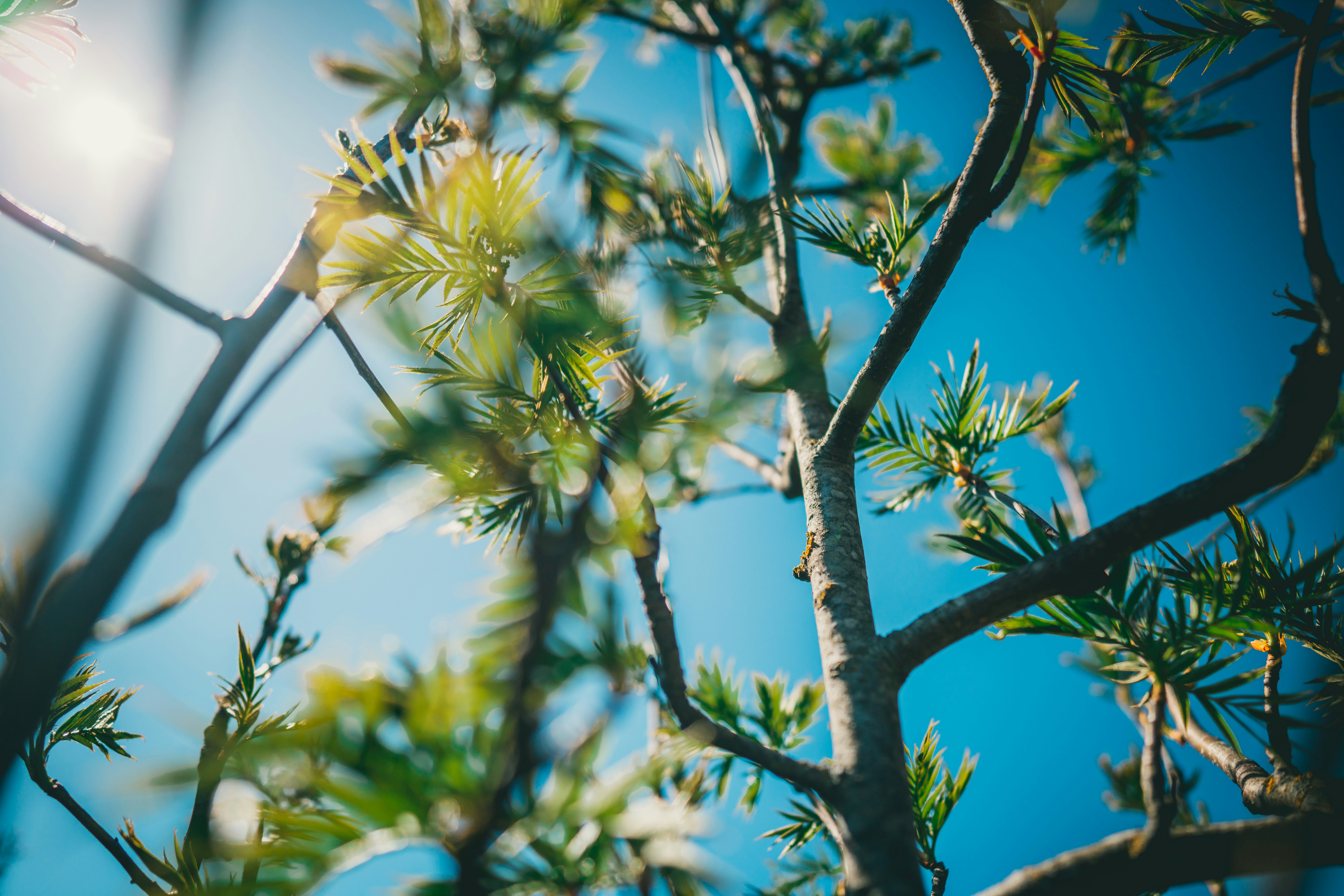 Photo by raimondklavins