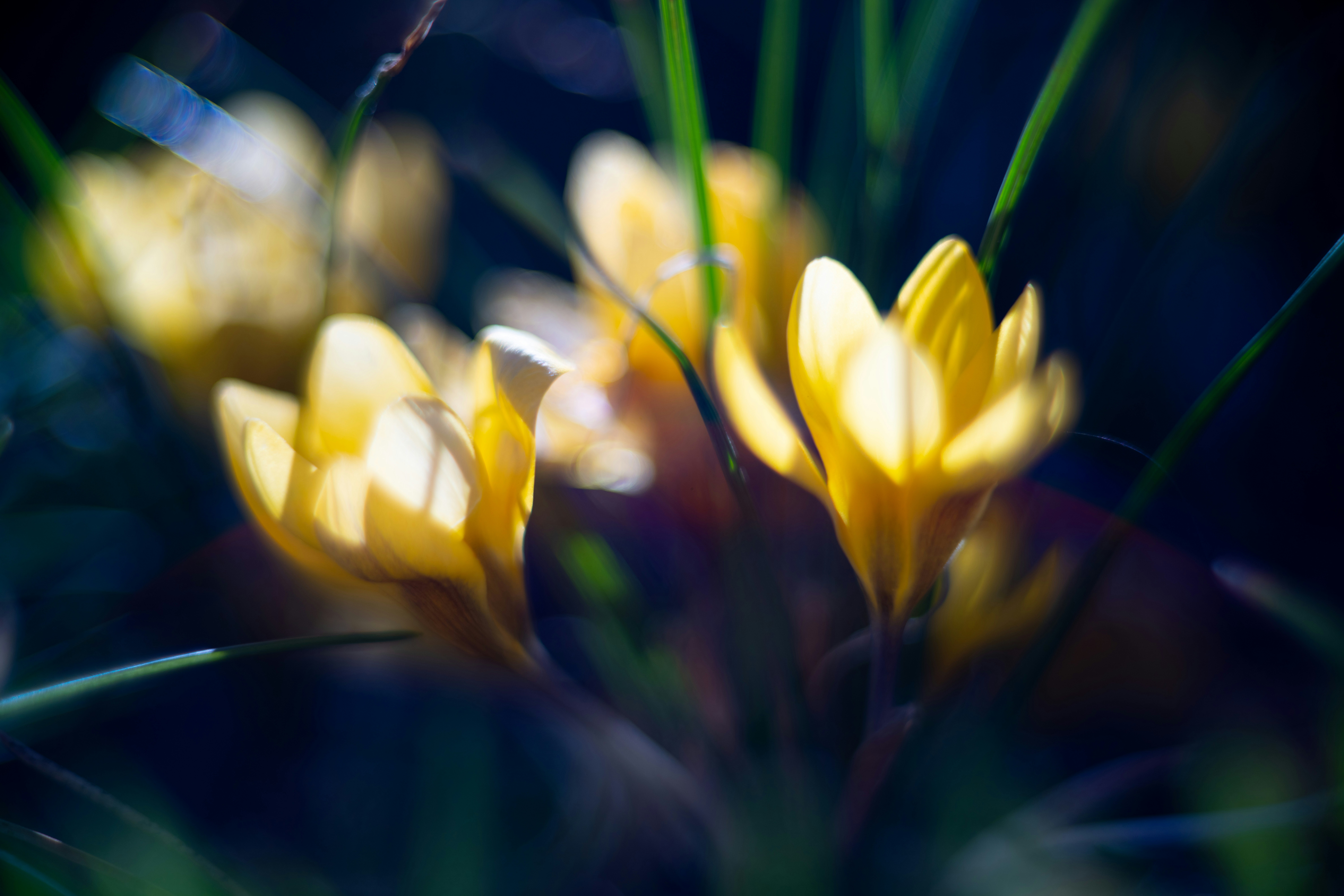 Photo by raimondklavins