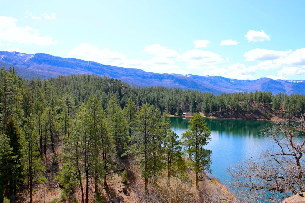 a lake surrounded by trees and mountains