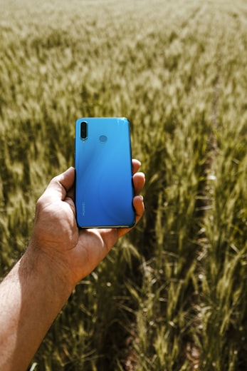 A hand holding a phone in a field, representing digital information