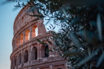 The image captures a side view of the Colosseum in Rome, with its arches illuminated by soft orange sunlight. Olive branches frame the scene in the foreground, adding a touch of natural greenery.