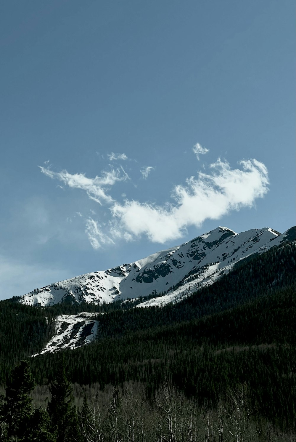 a snow covered mountain with trees in the foreground