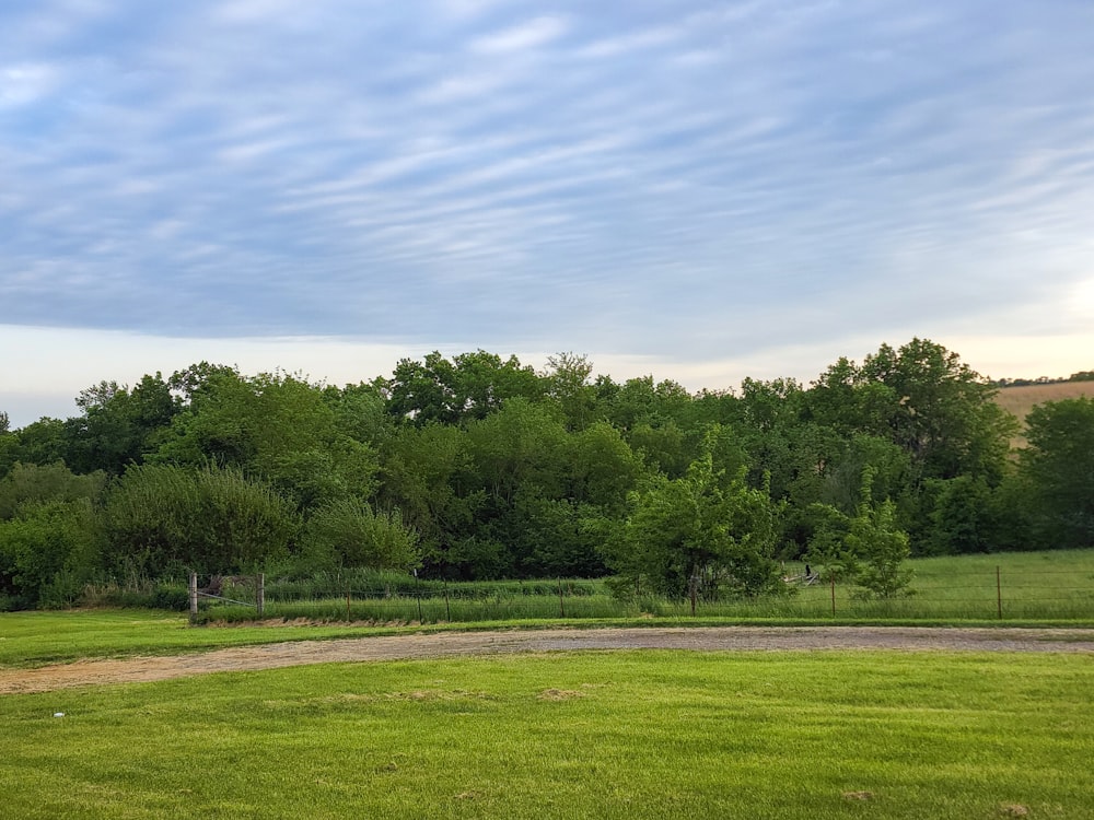 a green field with trees in the background