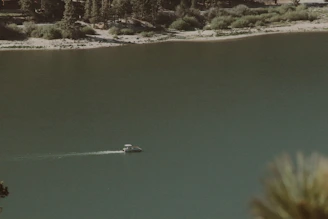 A sturdy fishing boat cutting through calm waters surrounded by dense Swedish woodland.