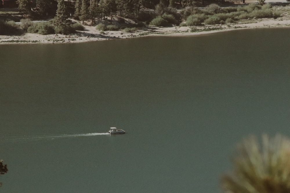 Ein Boot, das einen Fluss entlang neben einem Wald fährt