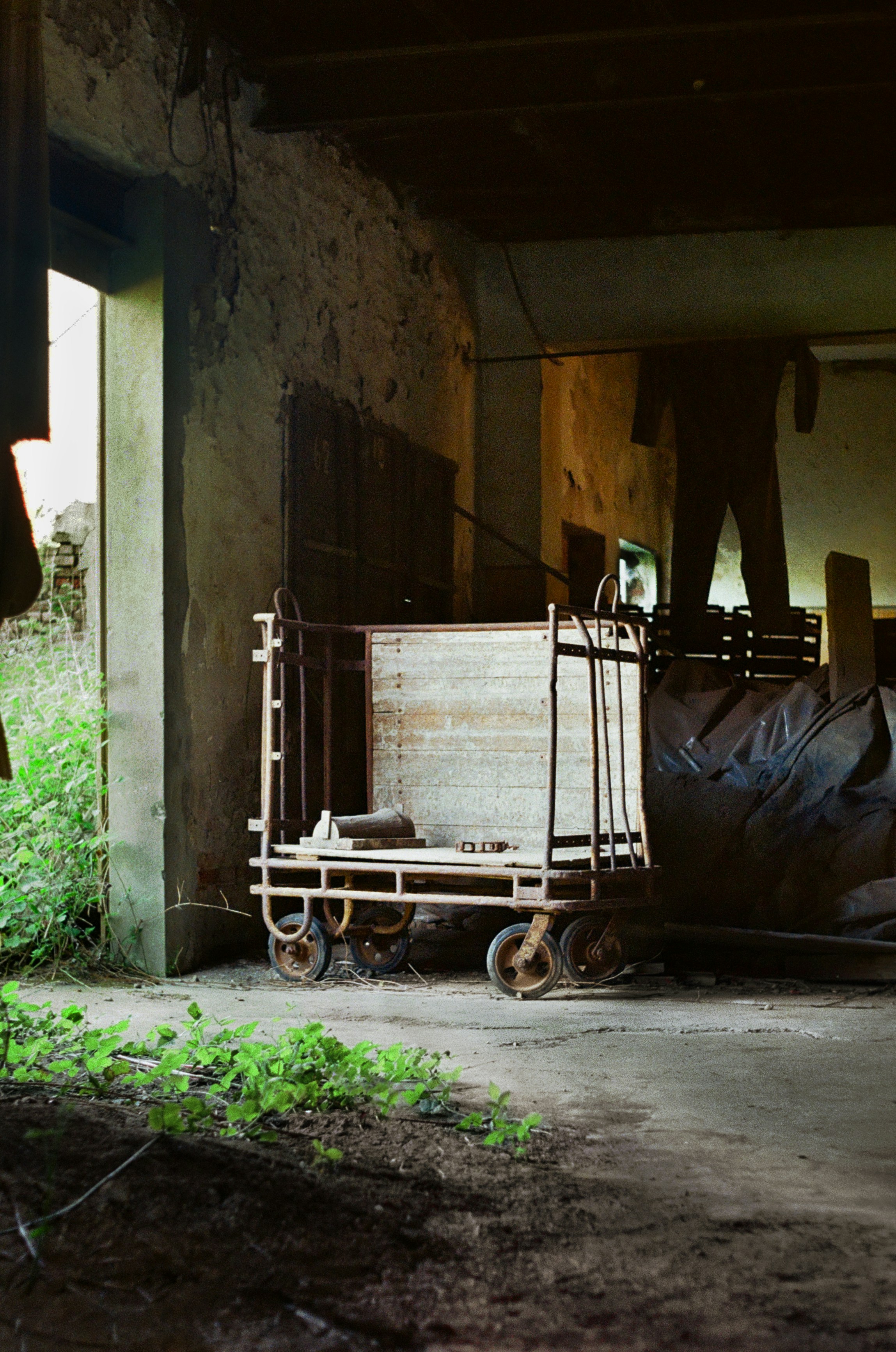 Photo by valentijn09