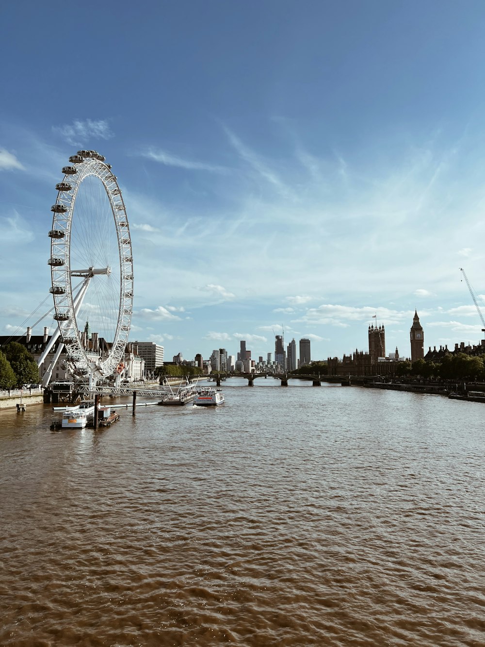 a large ferris wheel sitting on the side of a river