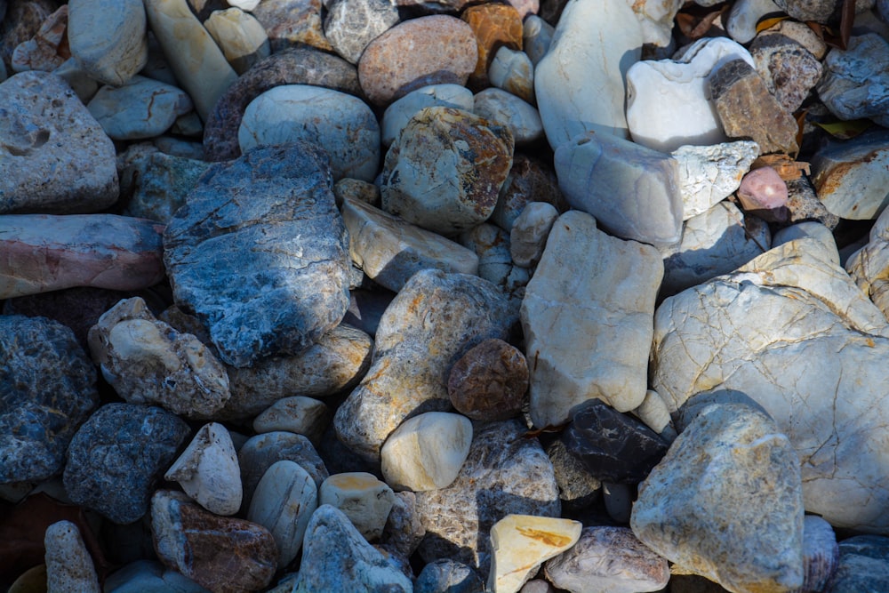 a bunch of rocks that are sitting on the ground