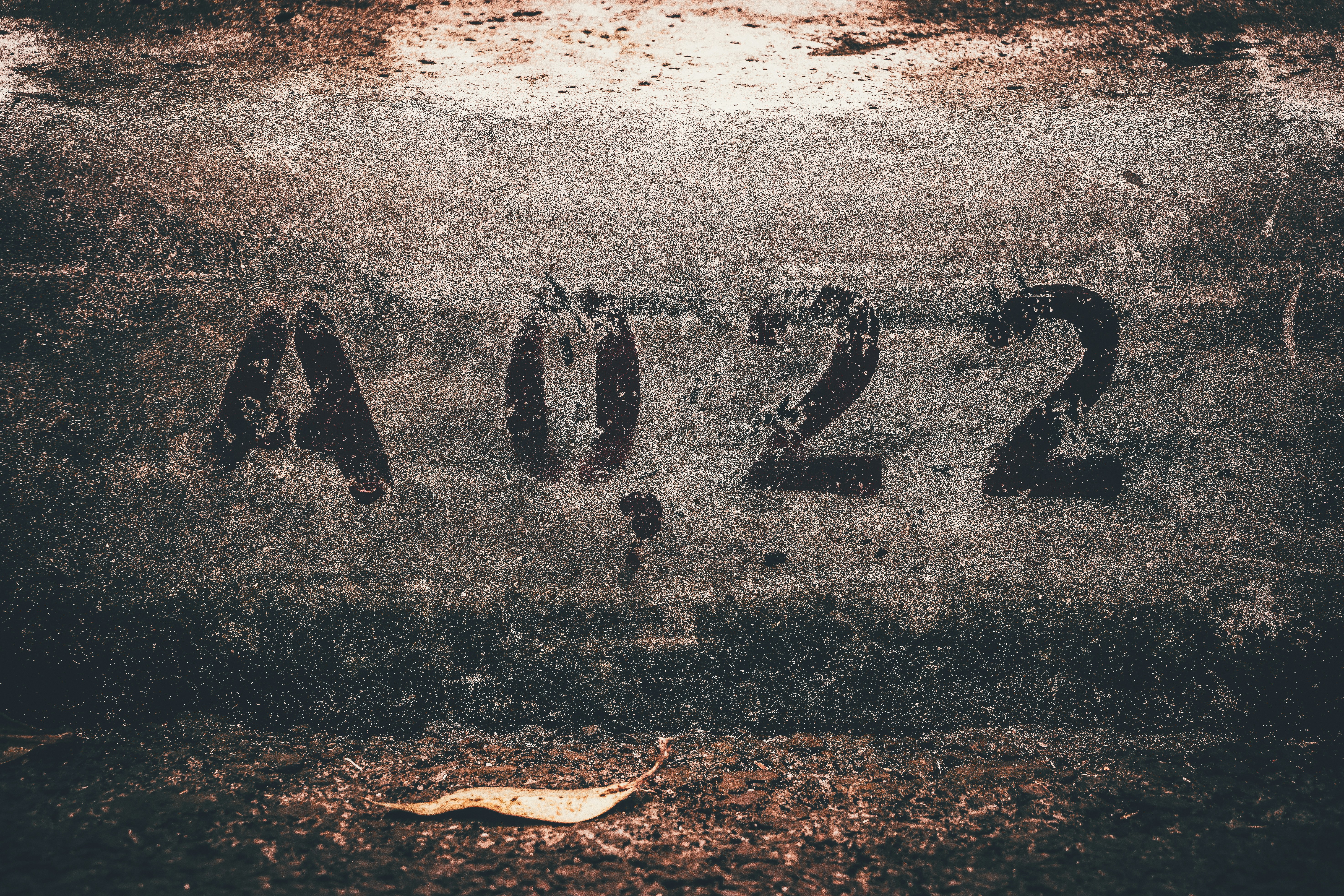 a close up of the numbers on a wall