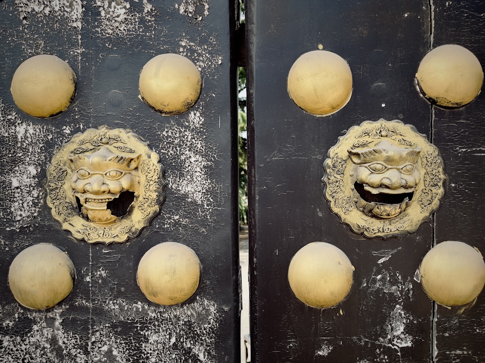 a close up of a door with a lion head on it