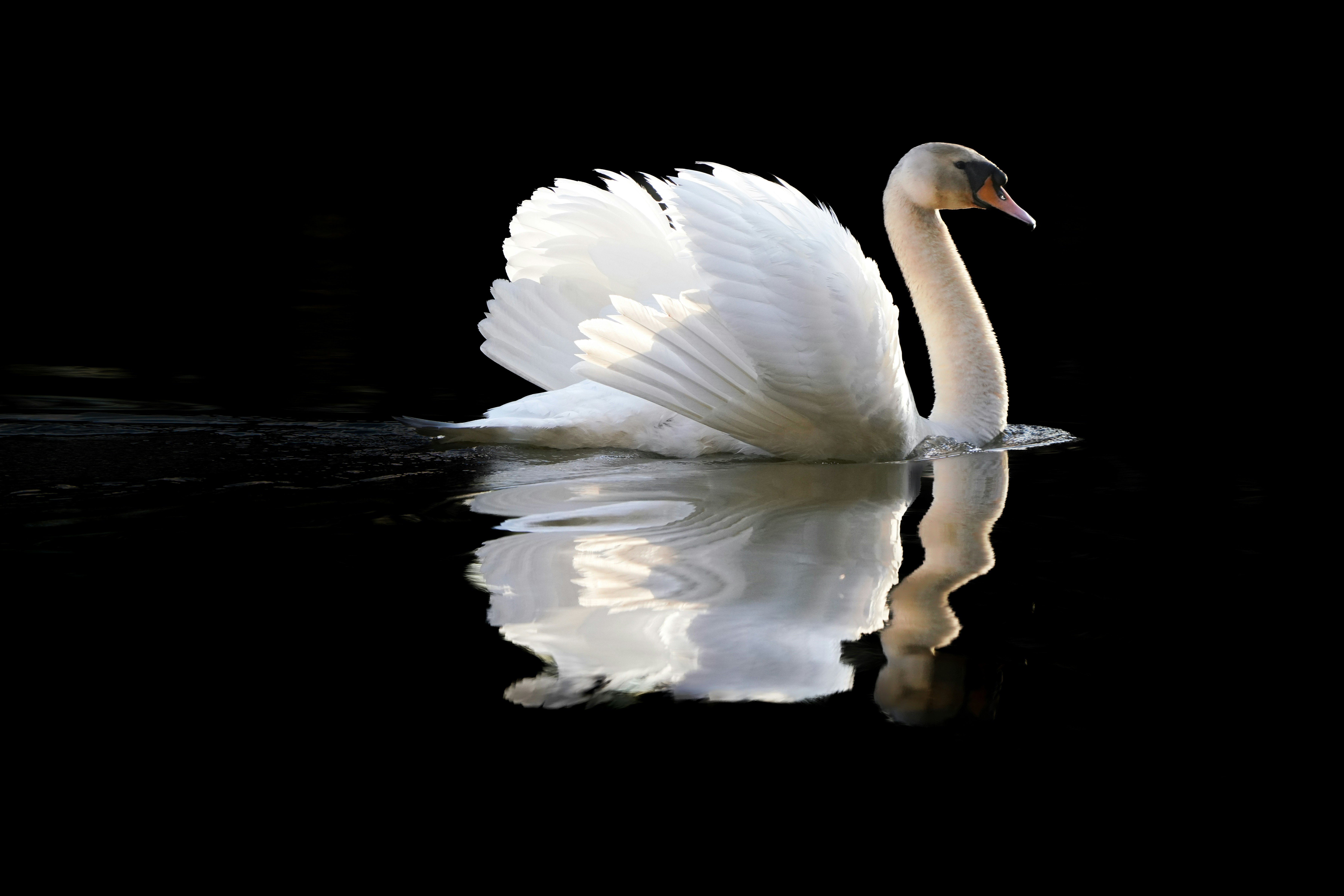 Photo by nihongraphy2