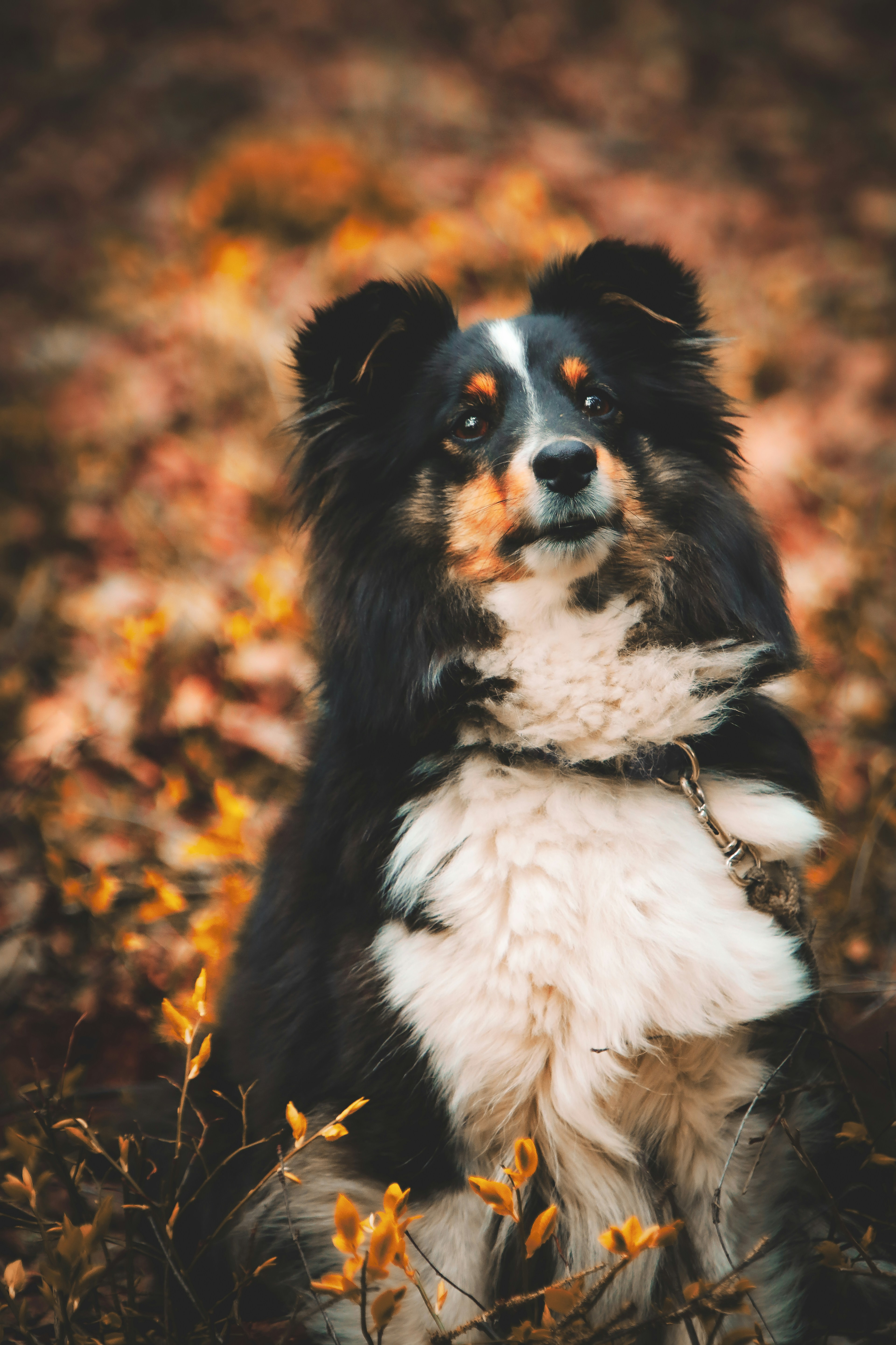 Photo by nihongraphy2