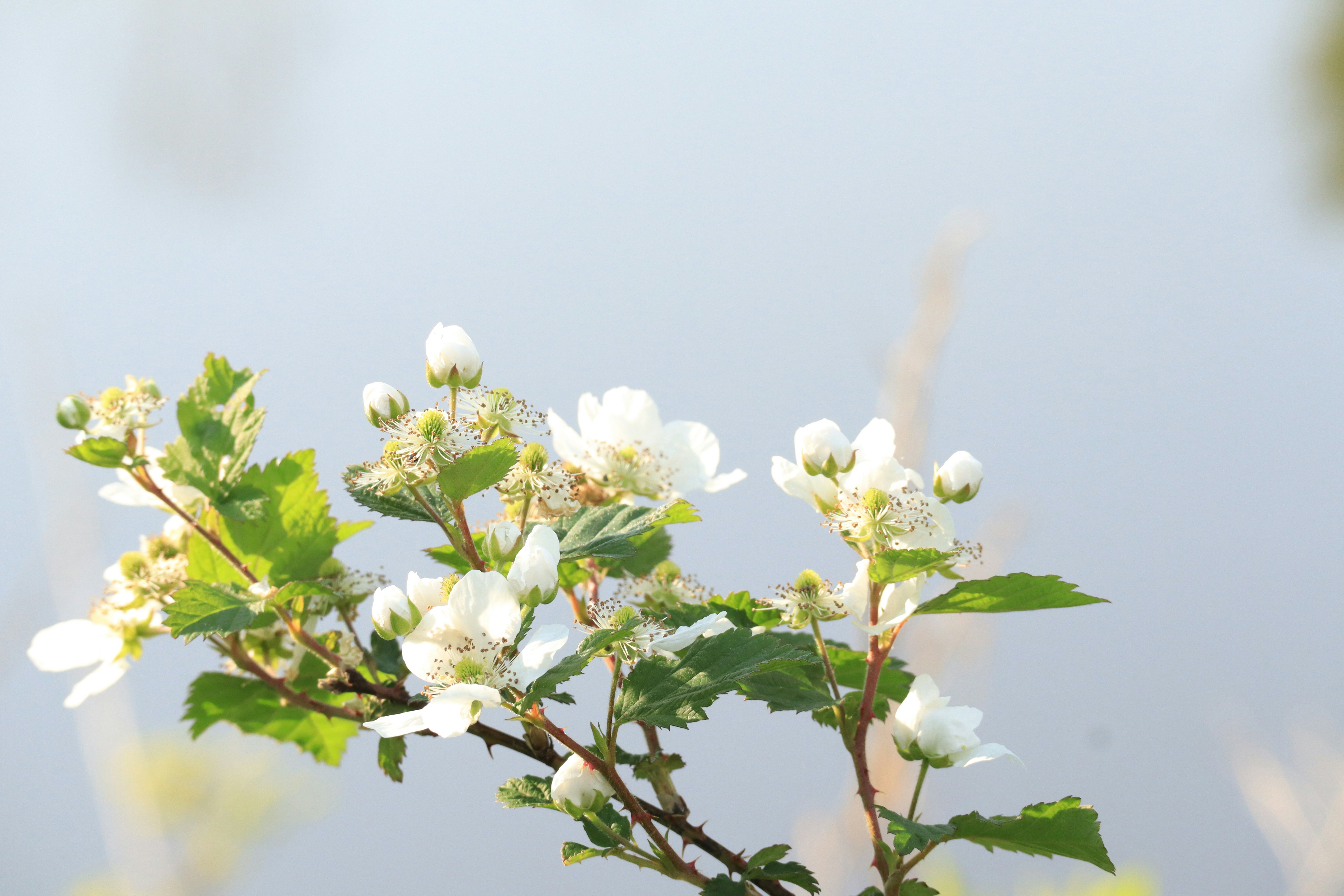 Photo by ucwhphotography