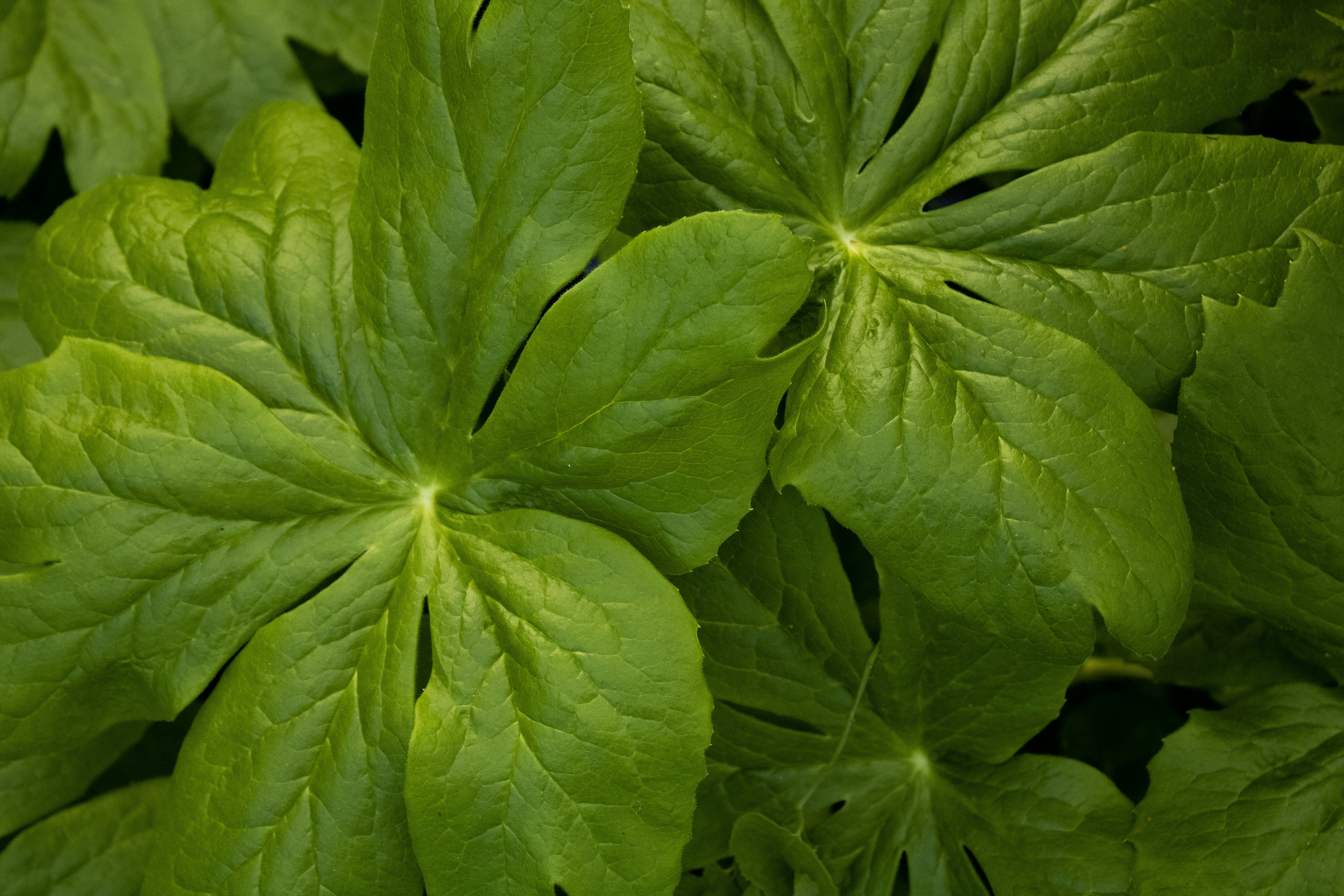 Photo by one23four56