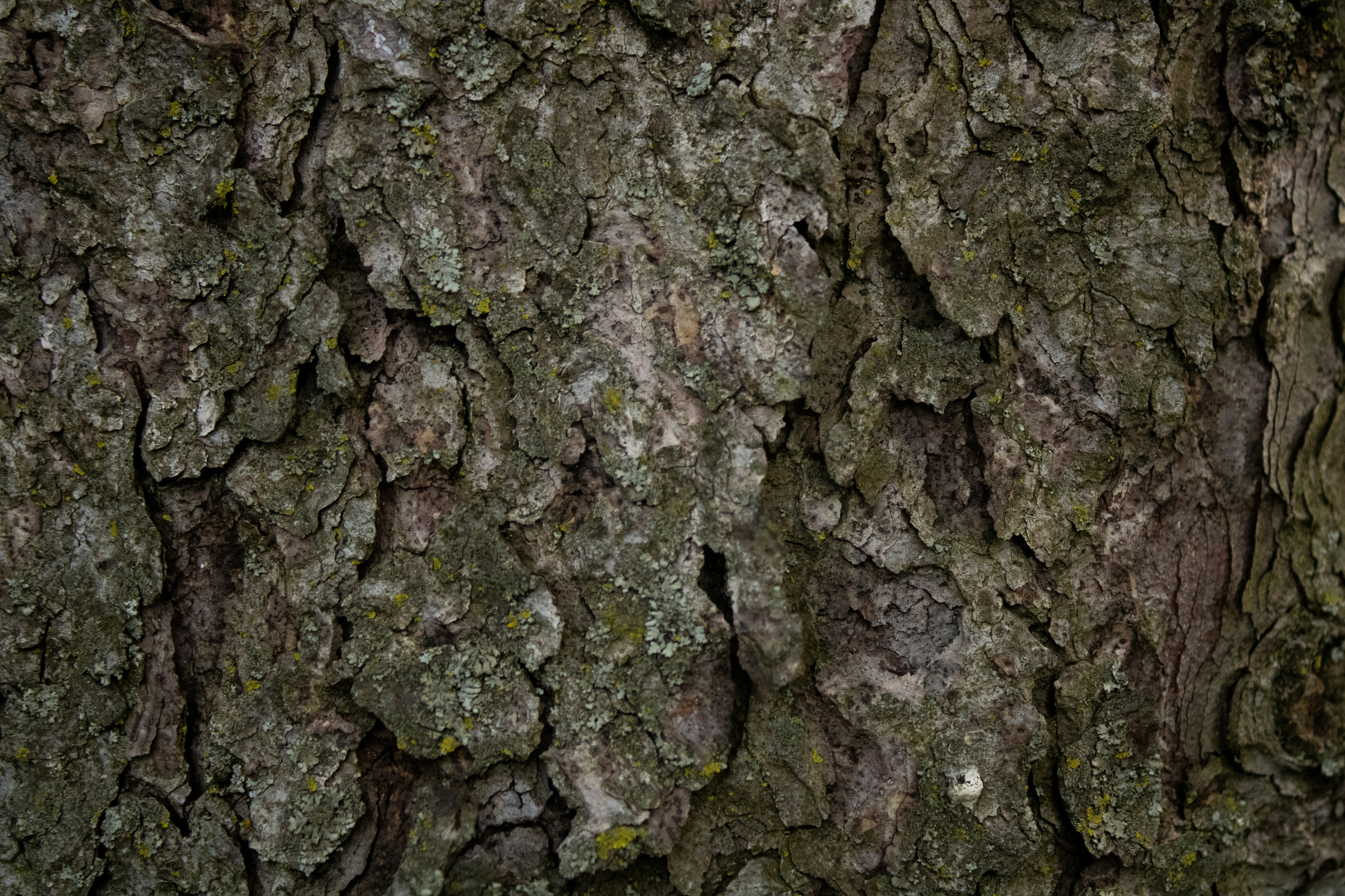 Photo by one23four56