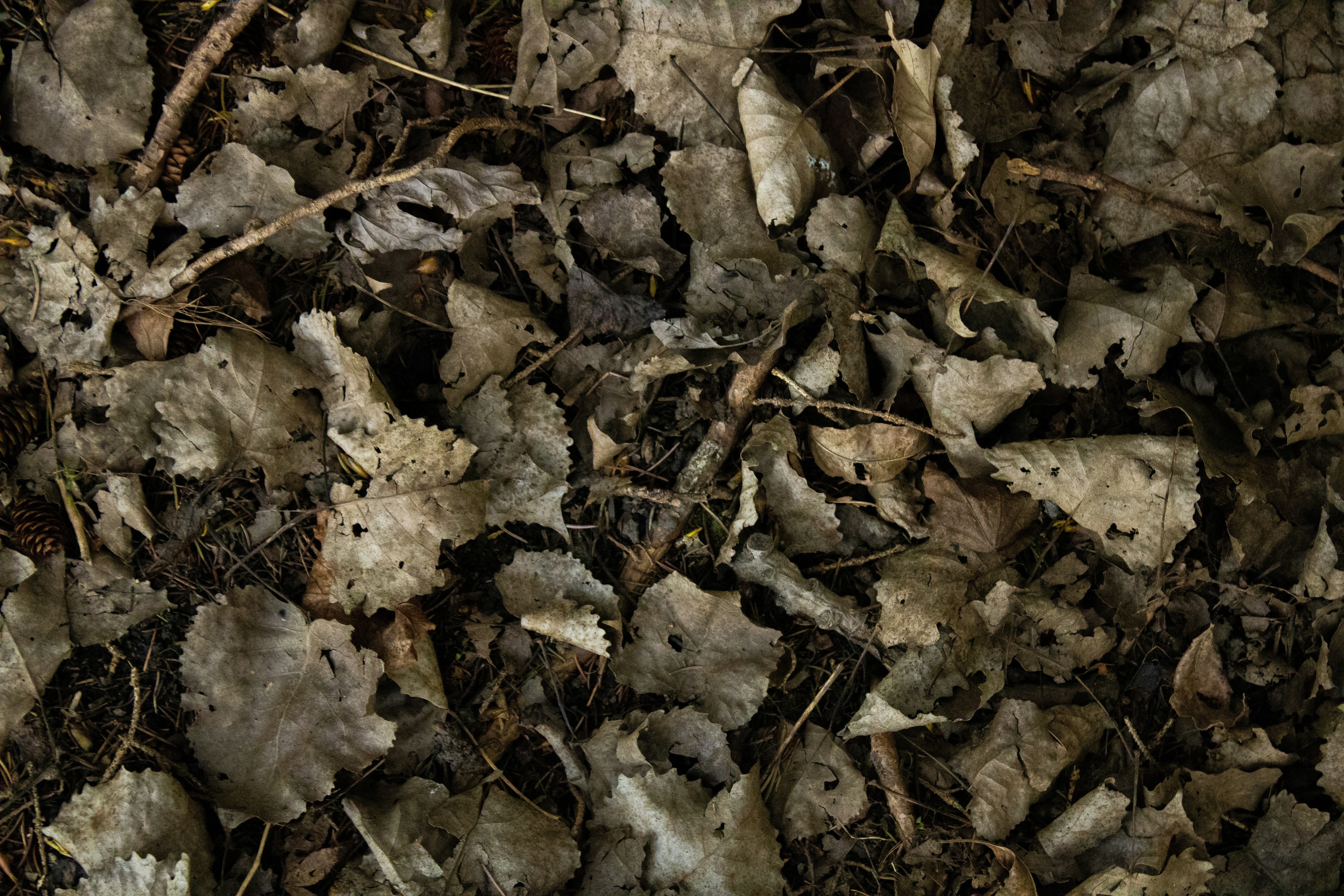 Photo by one23four56