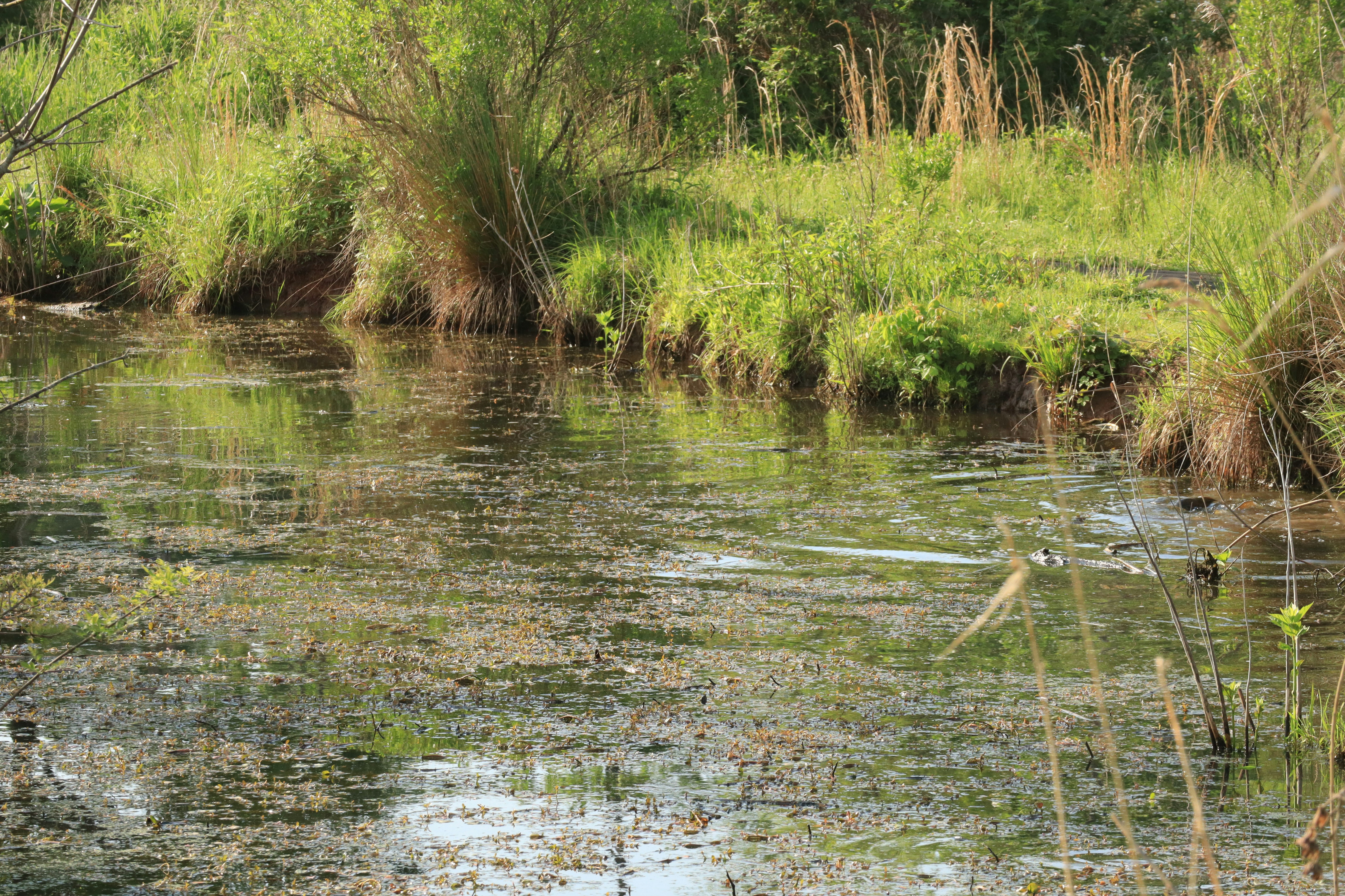 Photo by ucwhphotography