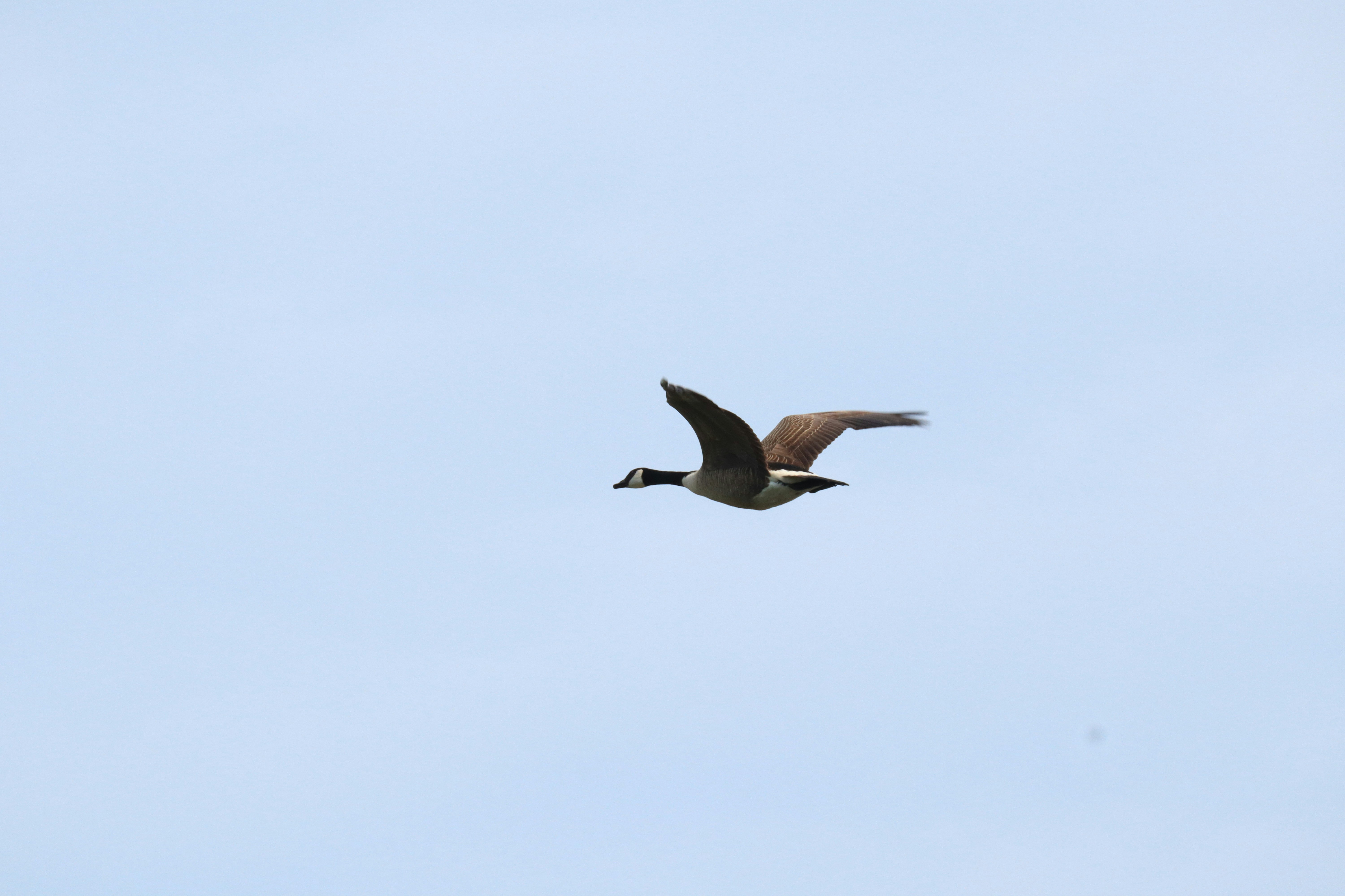 Photo by ucwhphotography