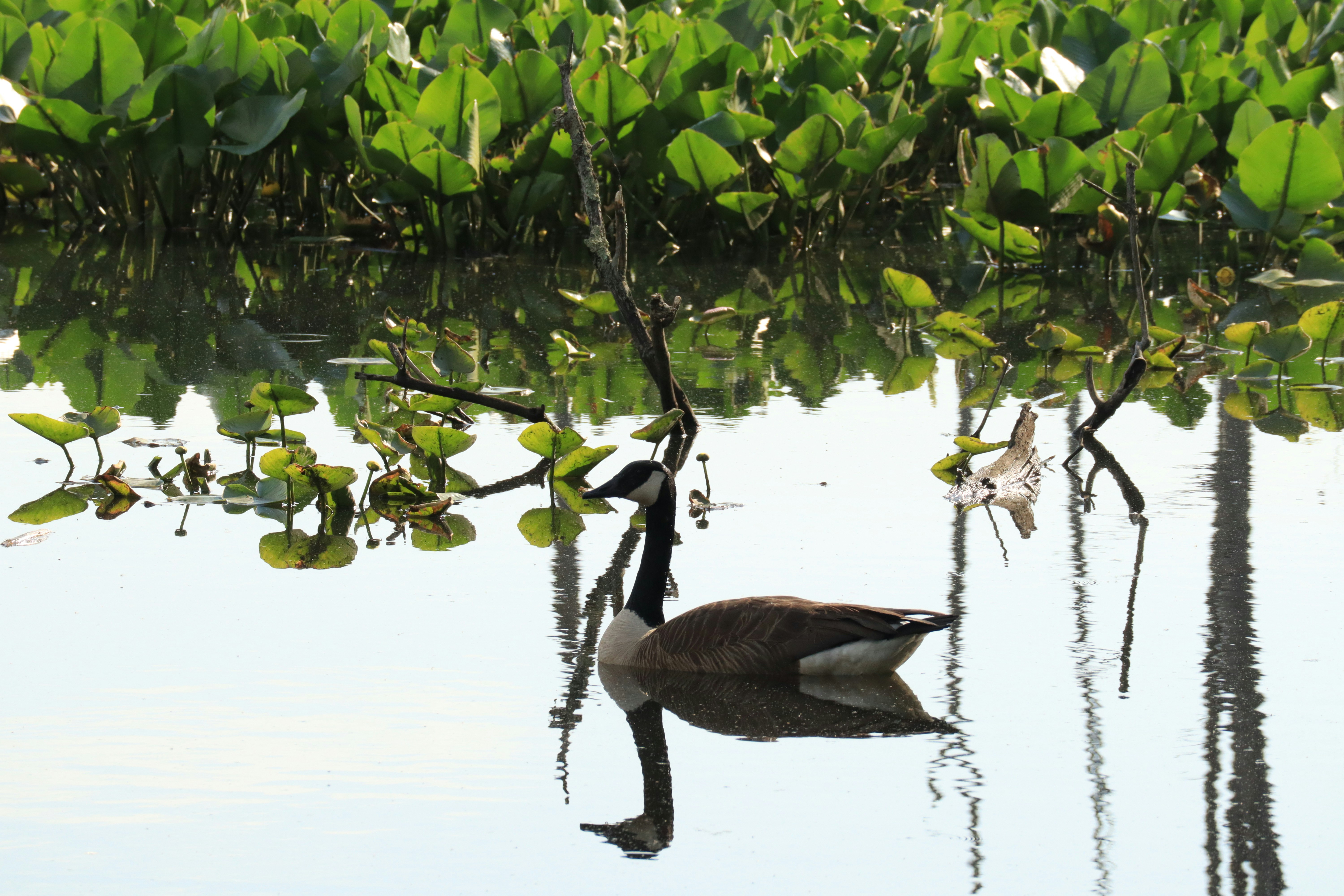 Photo by ucwhphotography