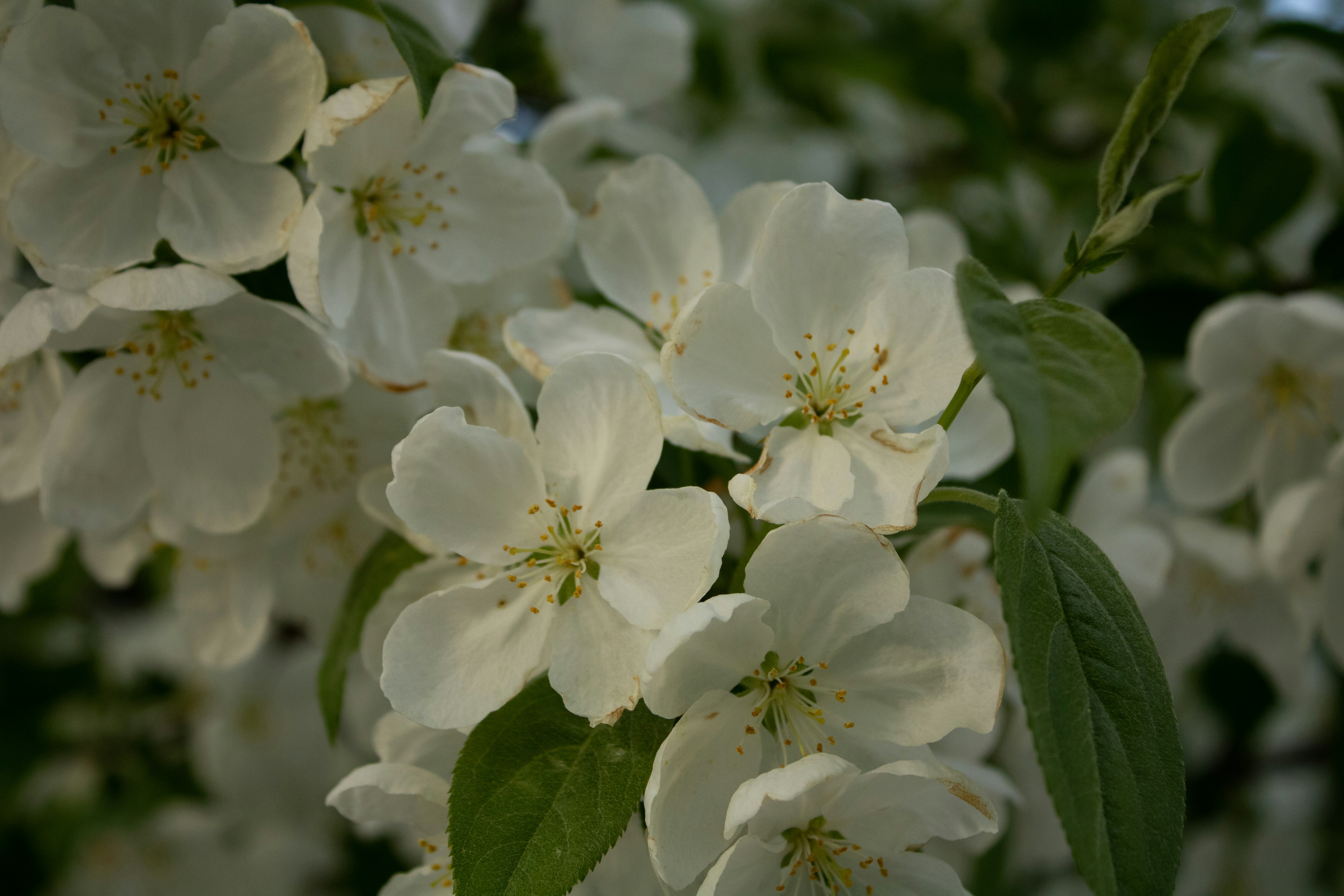 Photo by one23four56