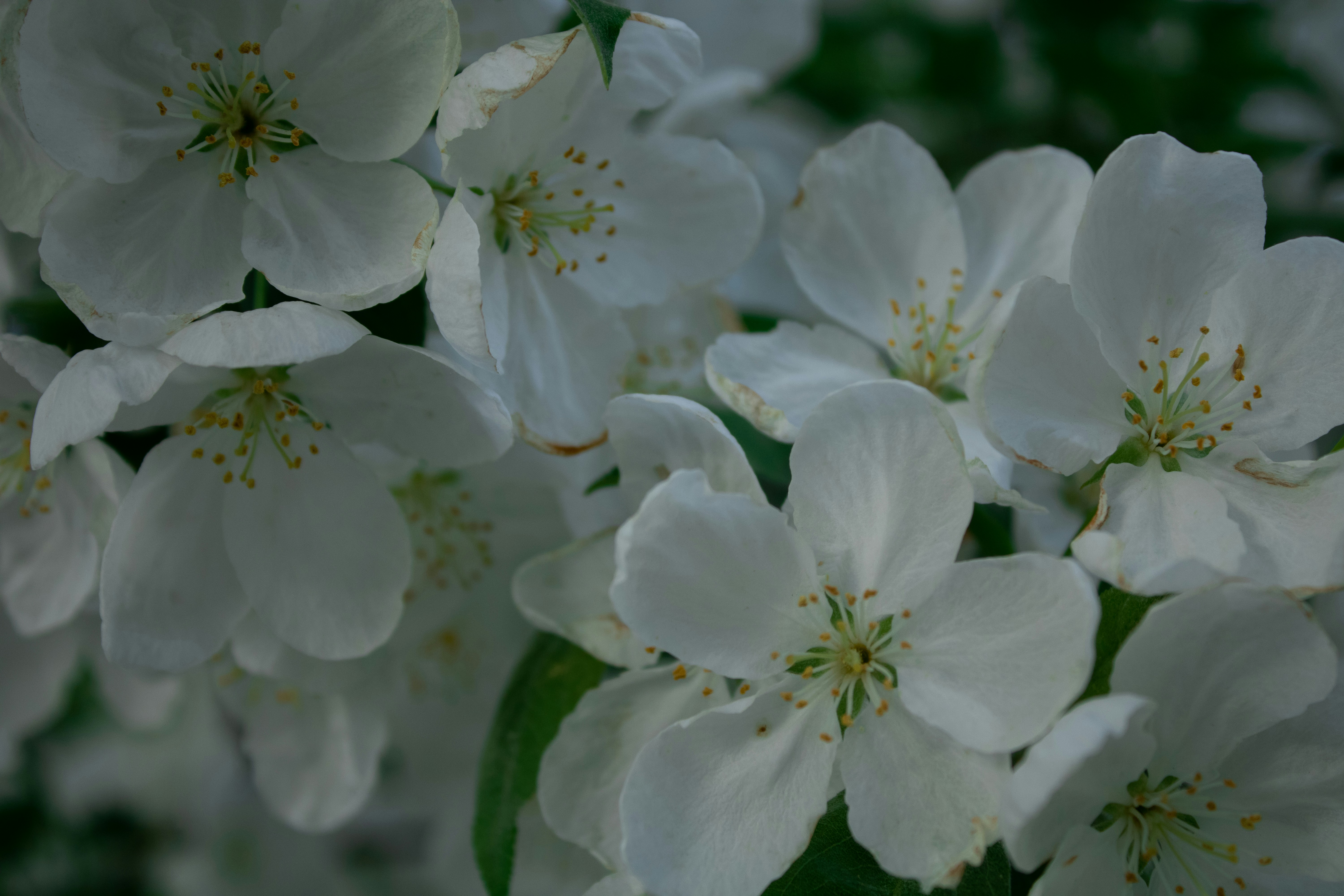 Photo by one23four56