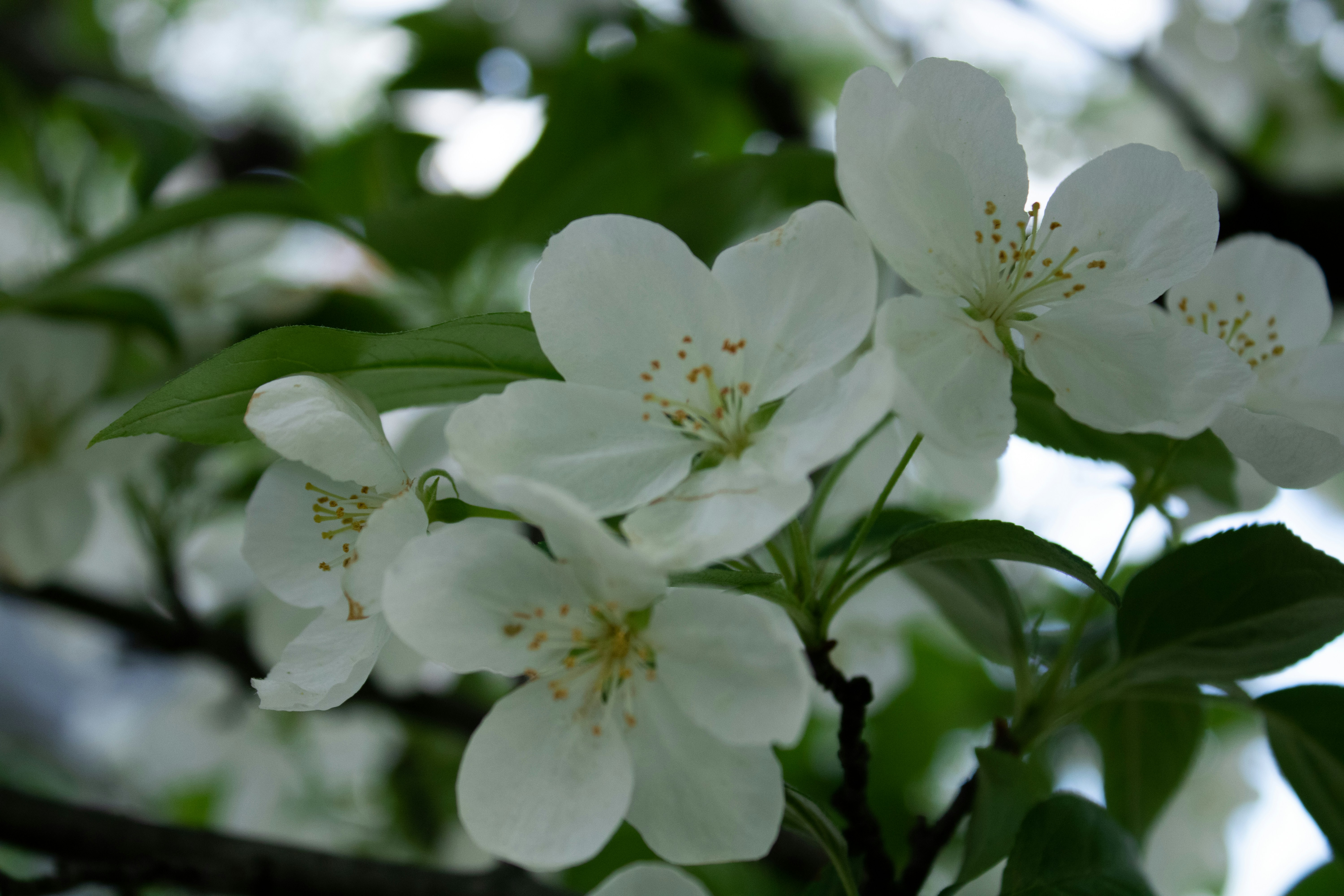 Photo by one23four56