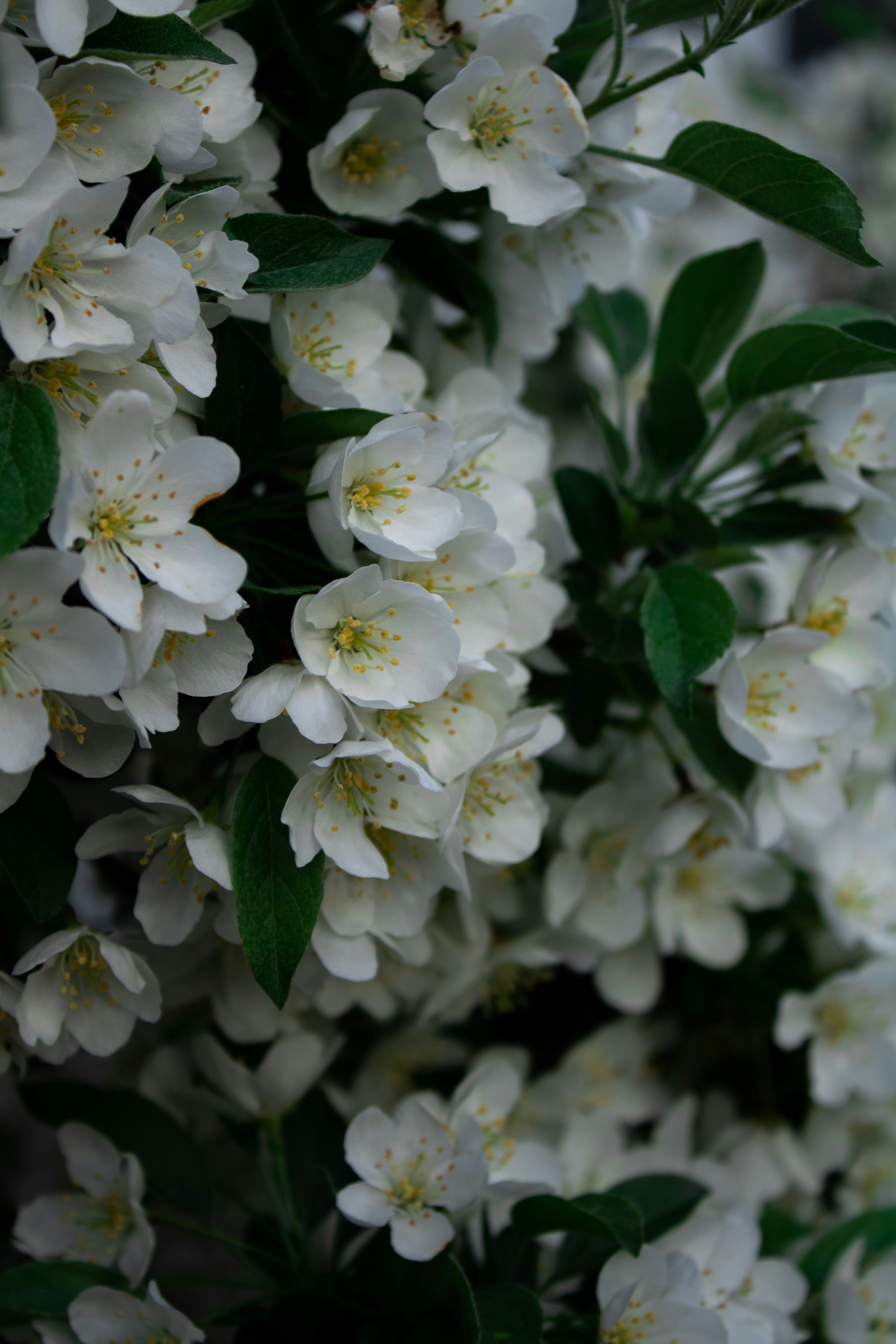 Photo by one23four56