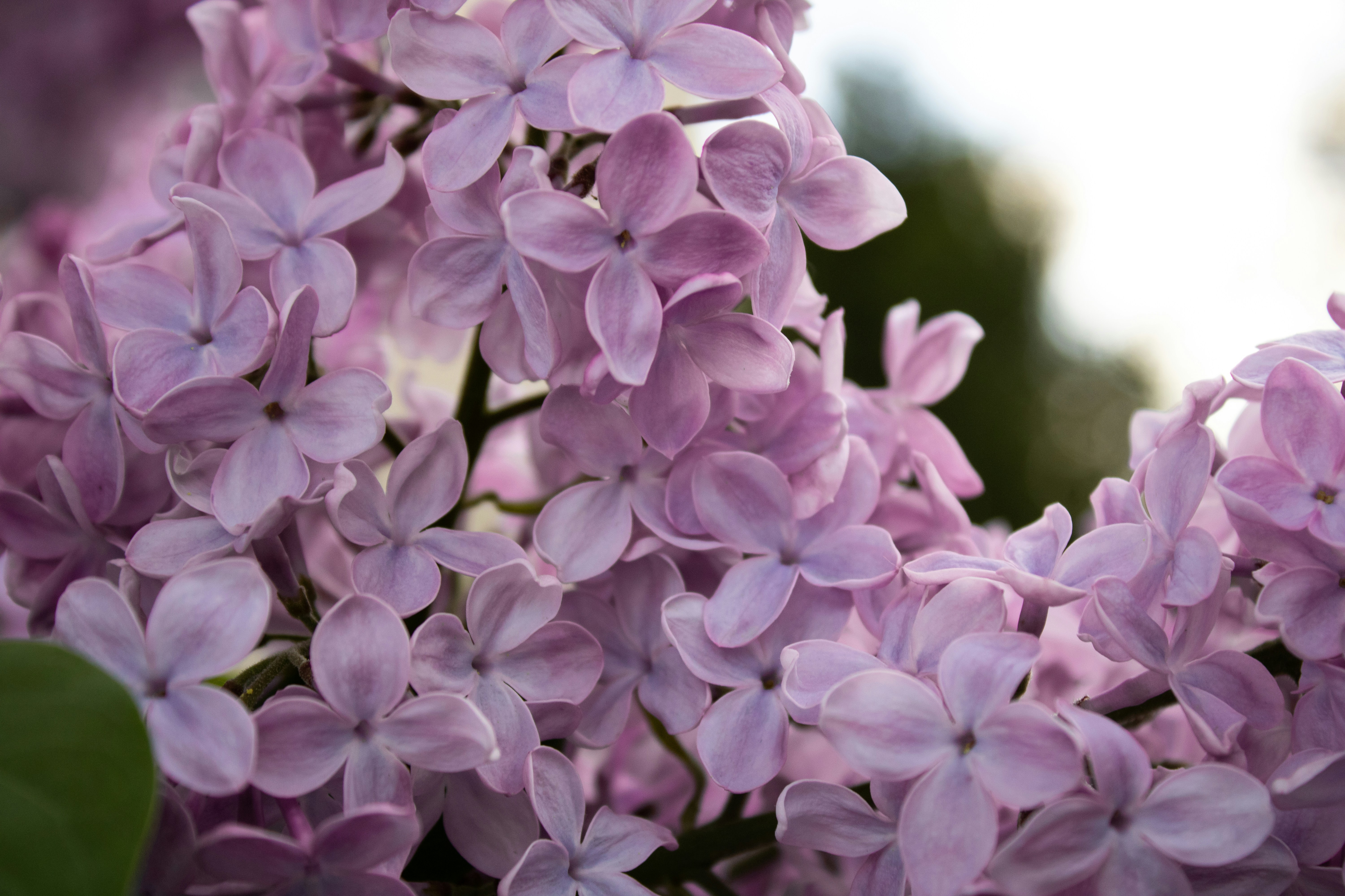 Photo by one23four56