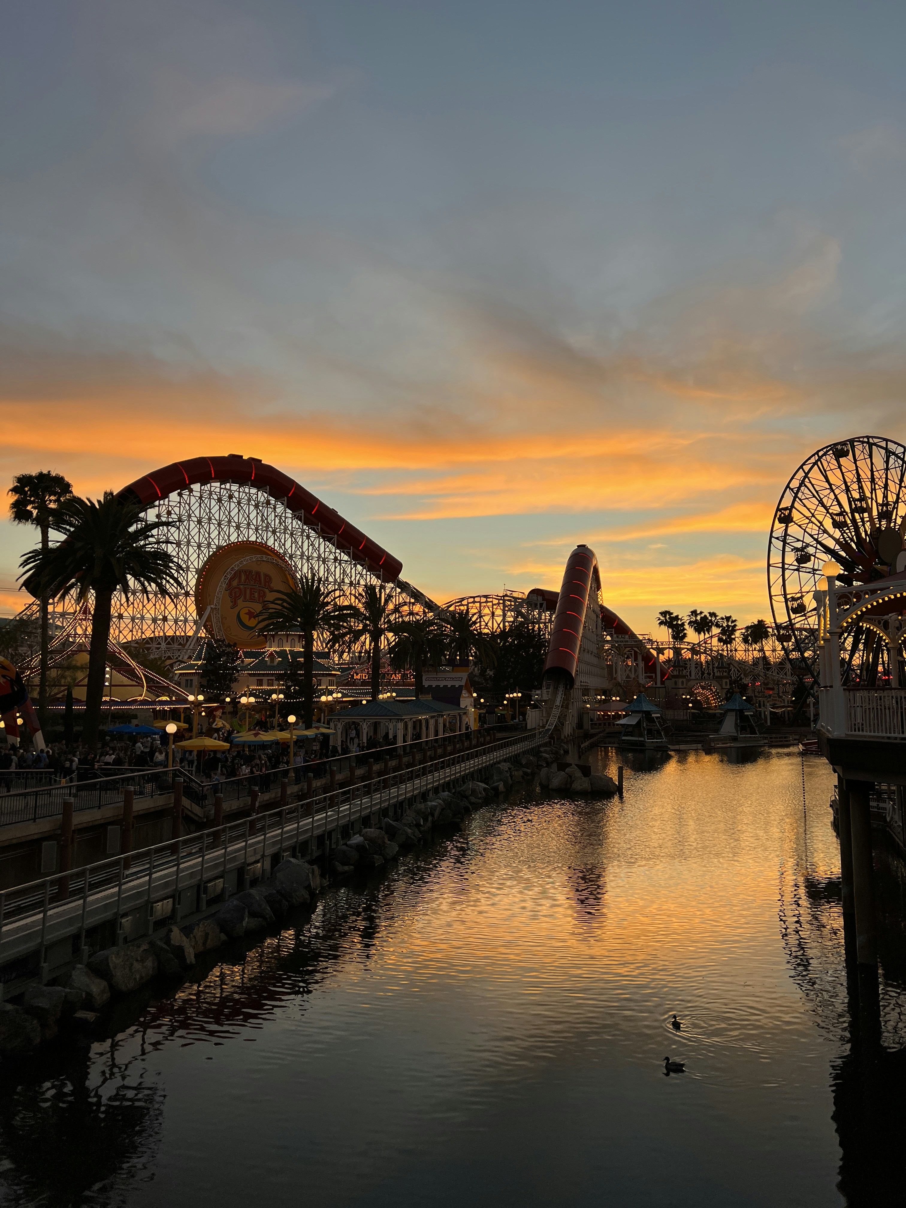 Photo by lizzlovestech