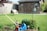a yard with a lawn mower, garden tools and a birdhouse
