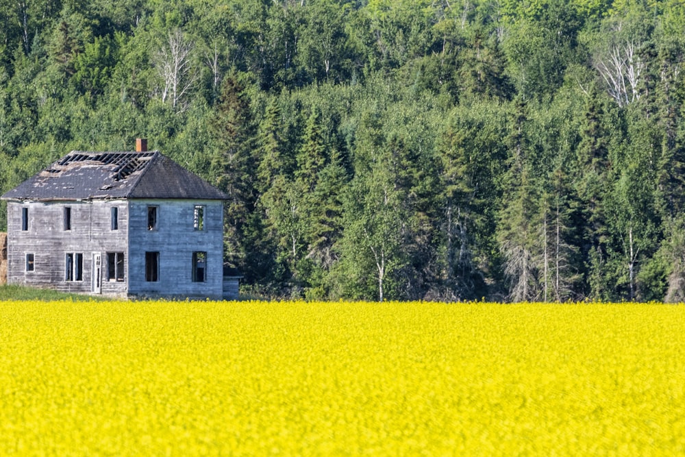 a house in a field with trees in the background