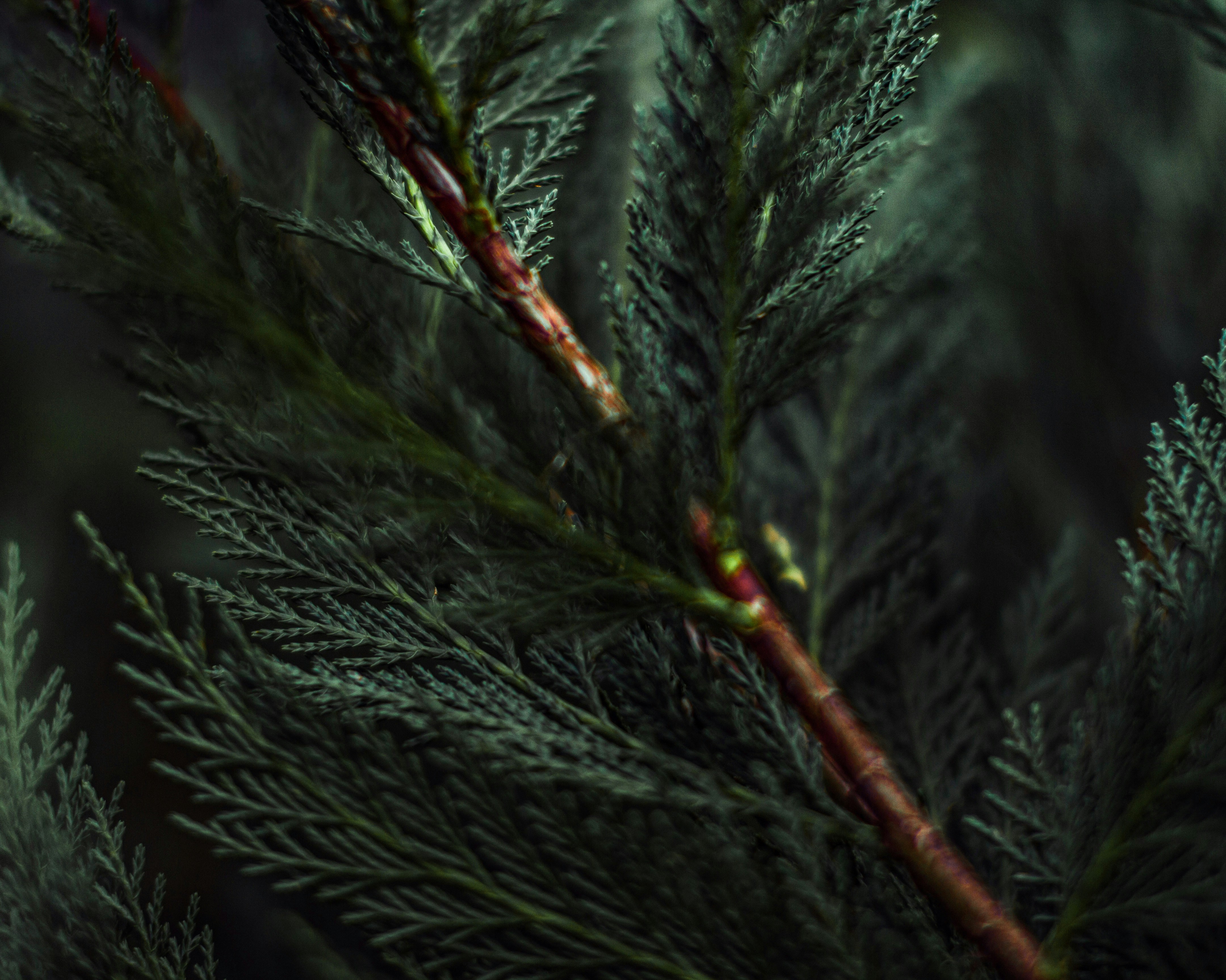 Photo by emmanuelphaeton