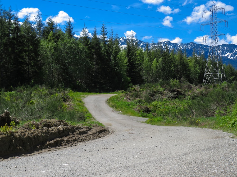 a dirt road in the middle of a forest