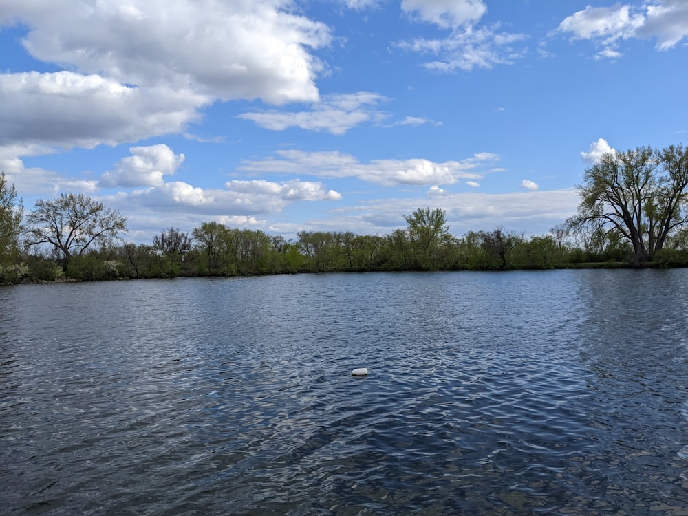 a body of water surrounded by trees and clouds