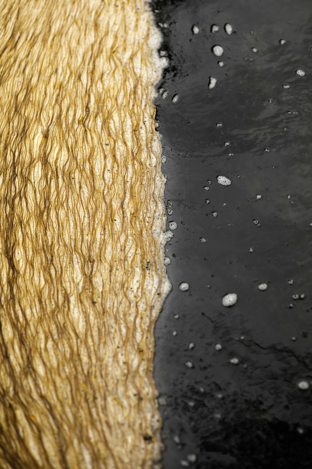 a close up of a black and white area with water