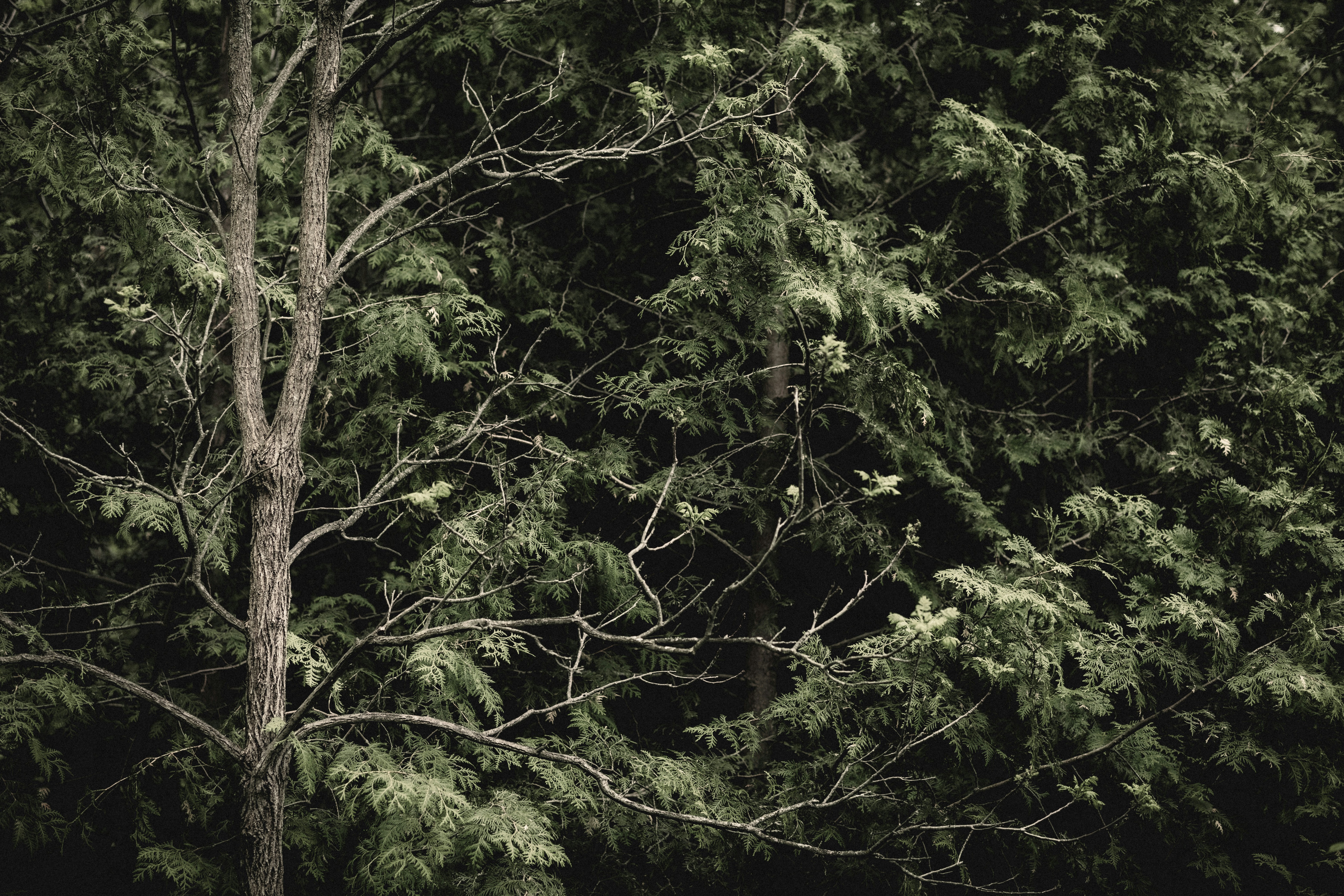 Photo by jeremyhrvtn