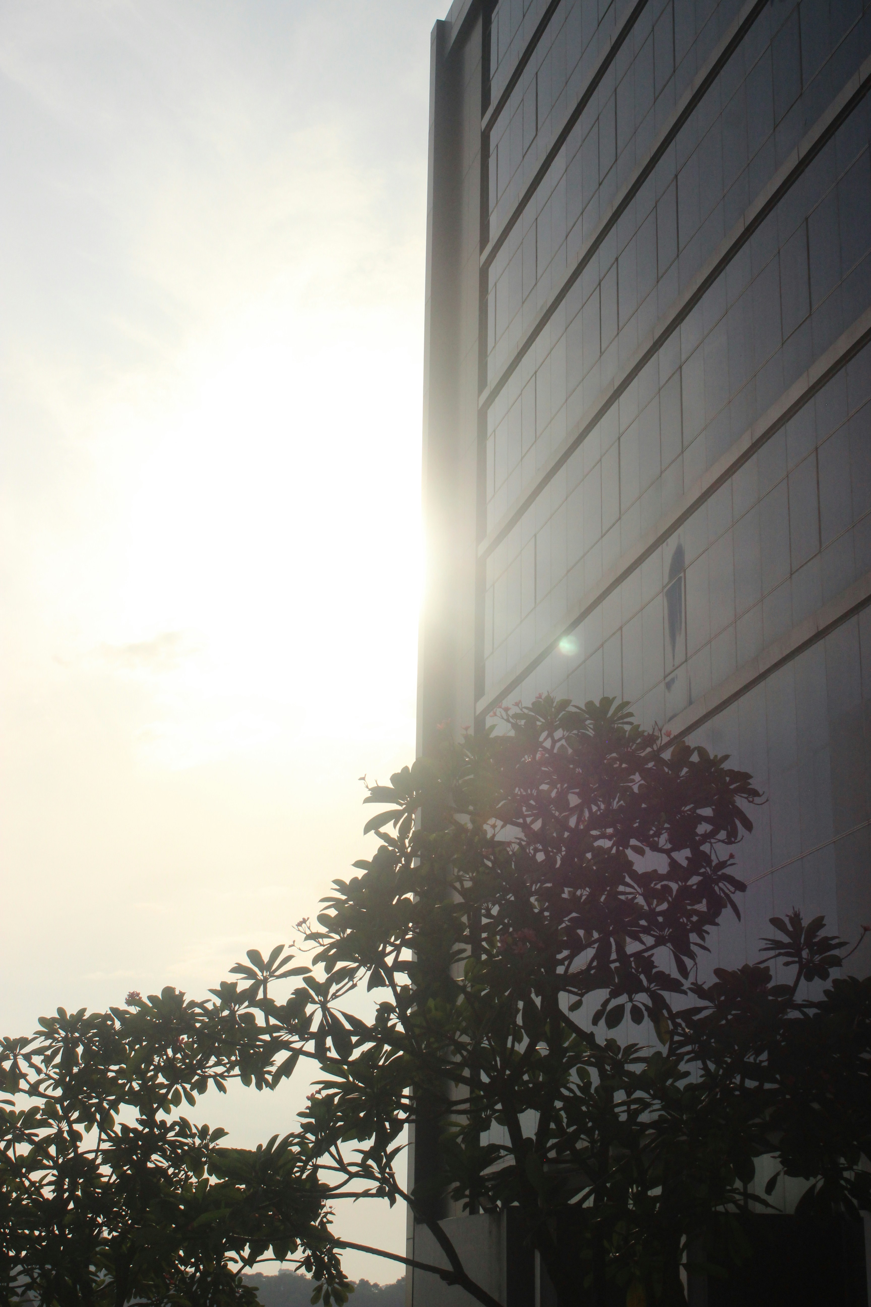 Photo by mrglasses