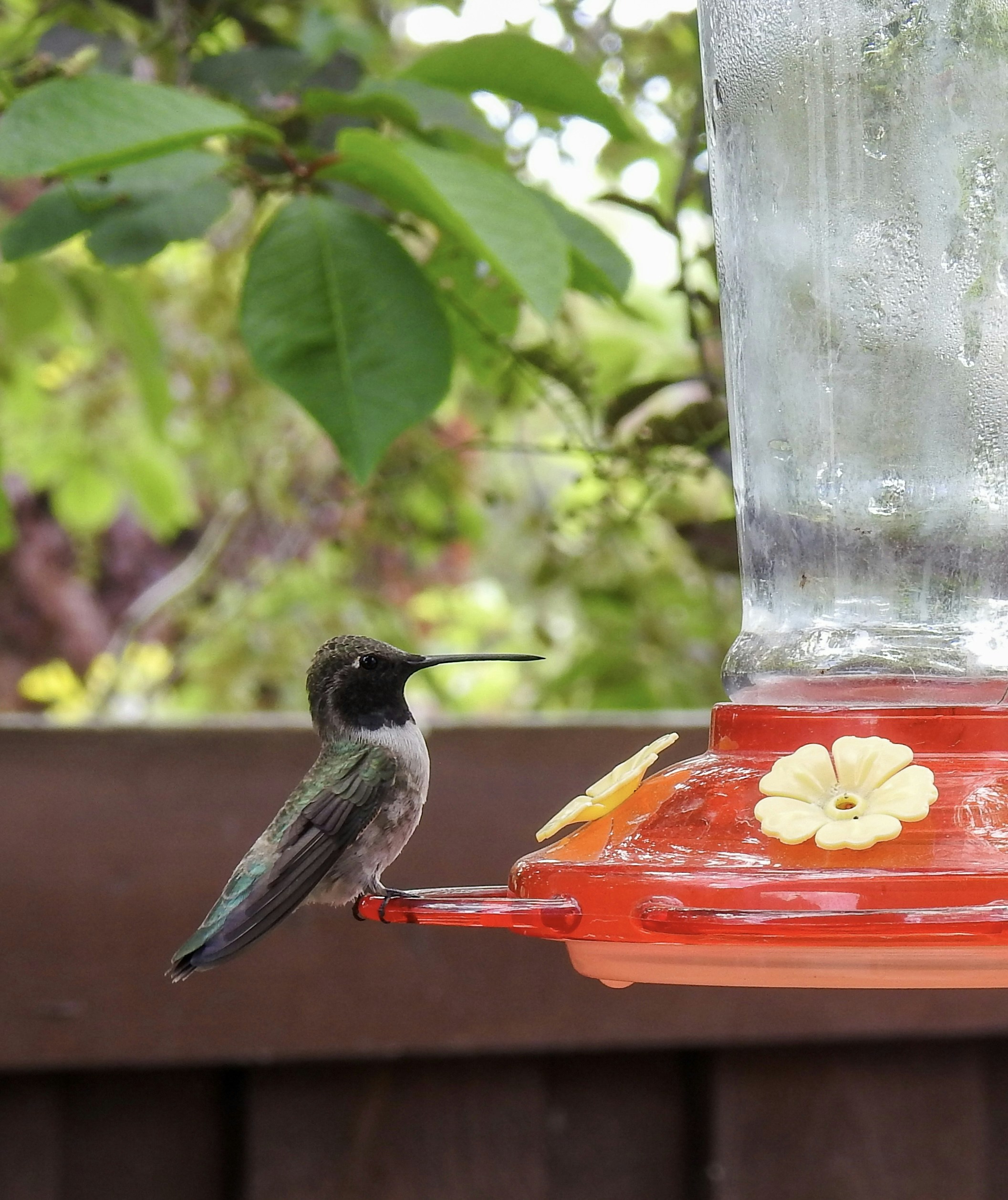 Photo by judd_nichols